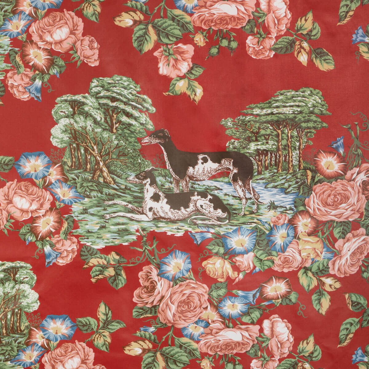 Whippets Cotton 2023125-19