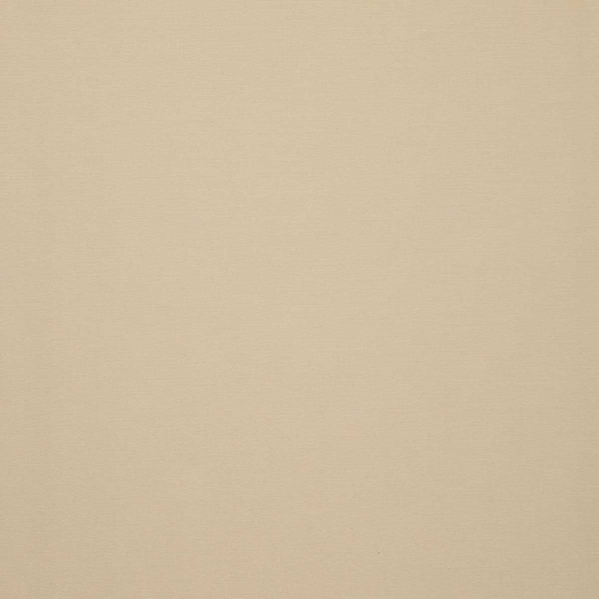 Absolu 3241-19