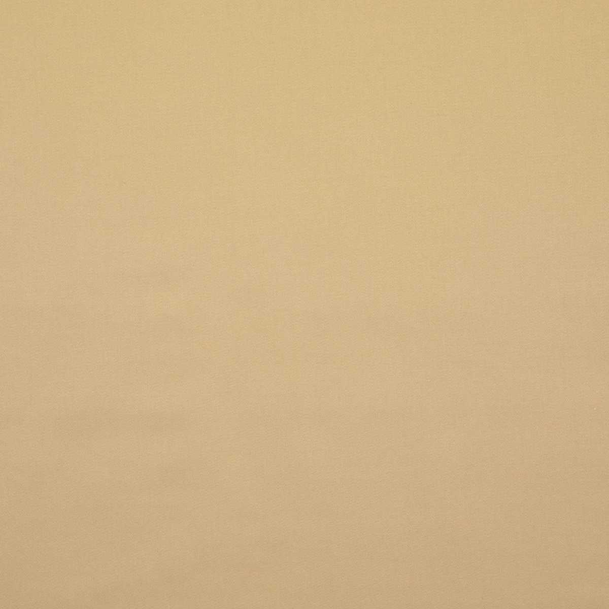 Absolu 3241-20