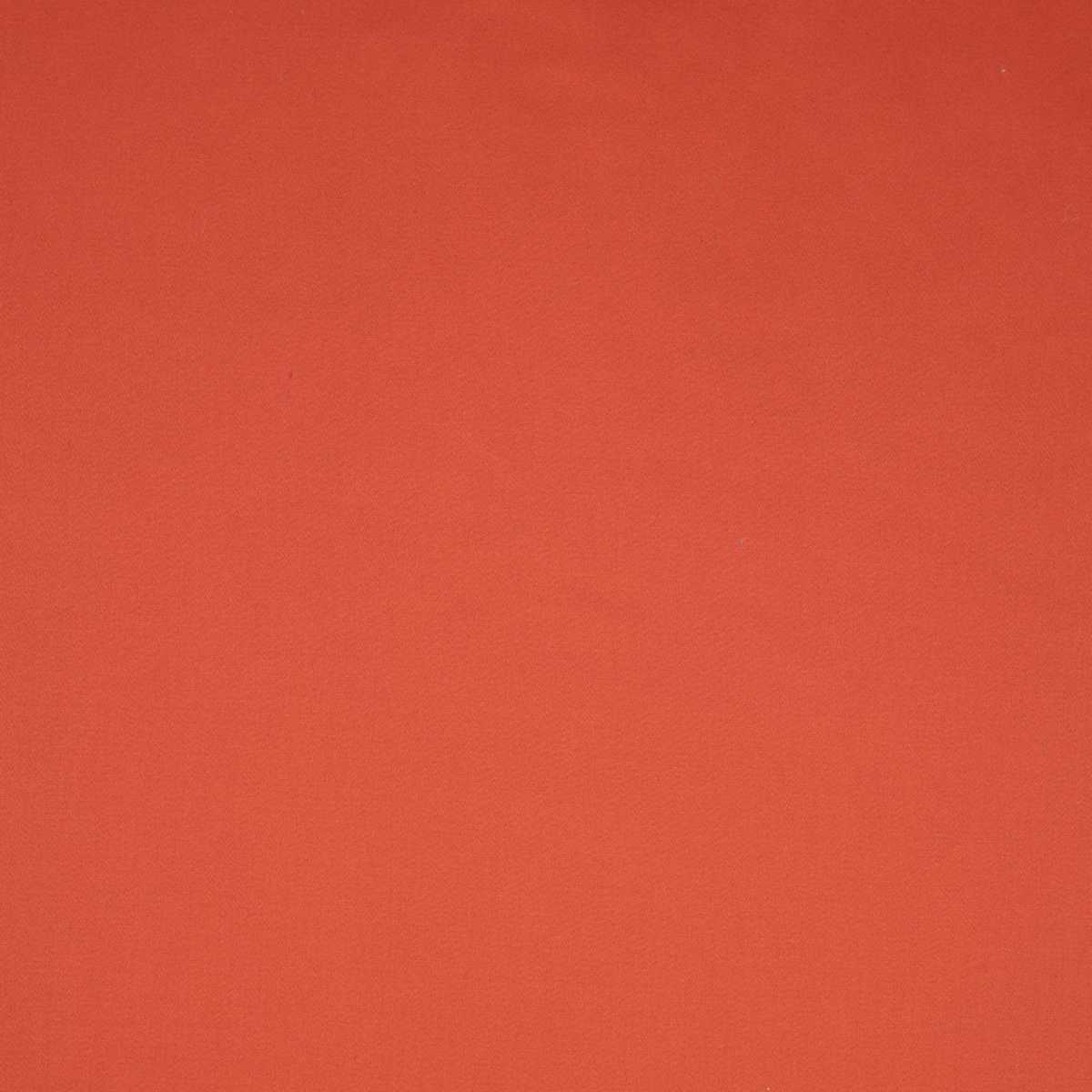 Absolu 3241-31
