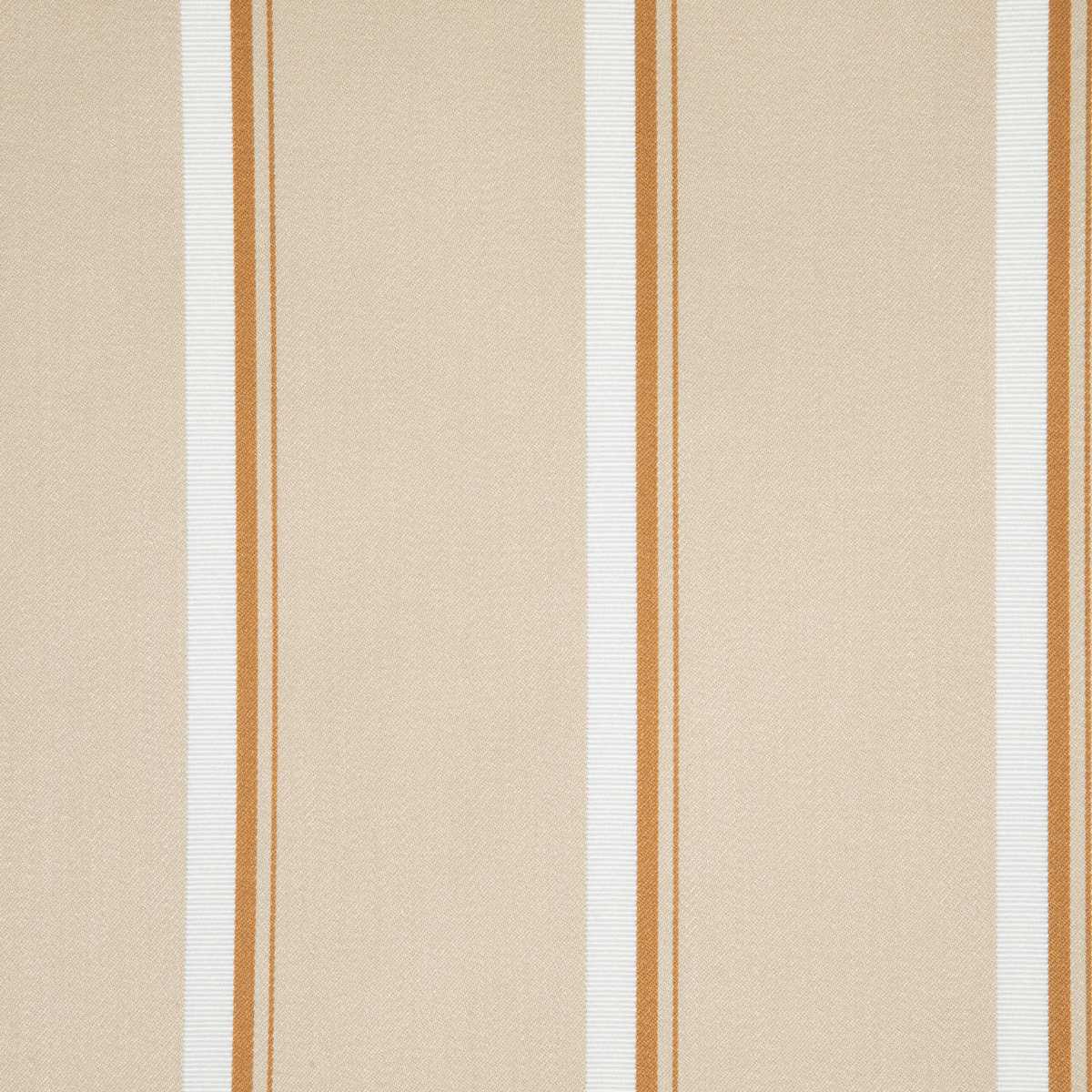 Acacia 3251-02