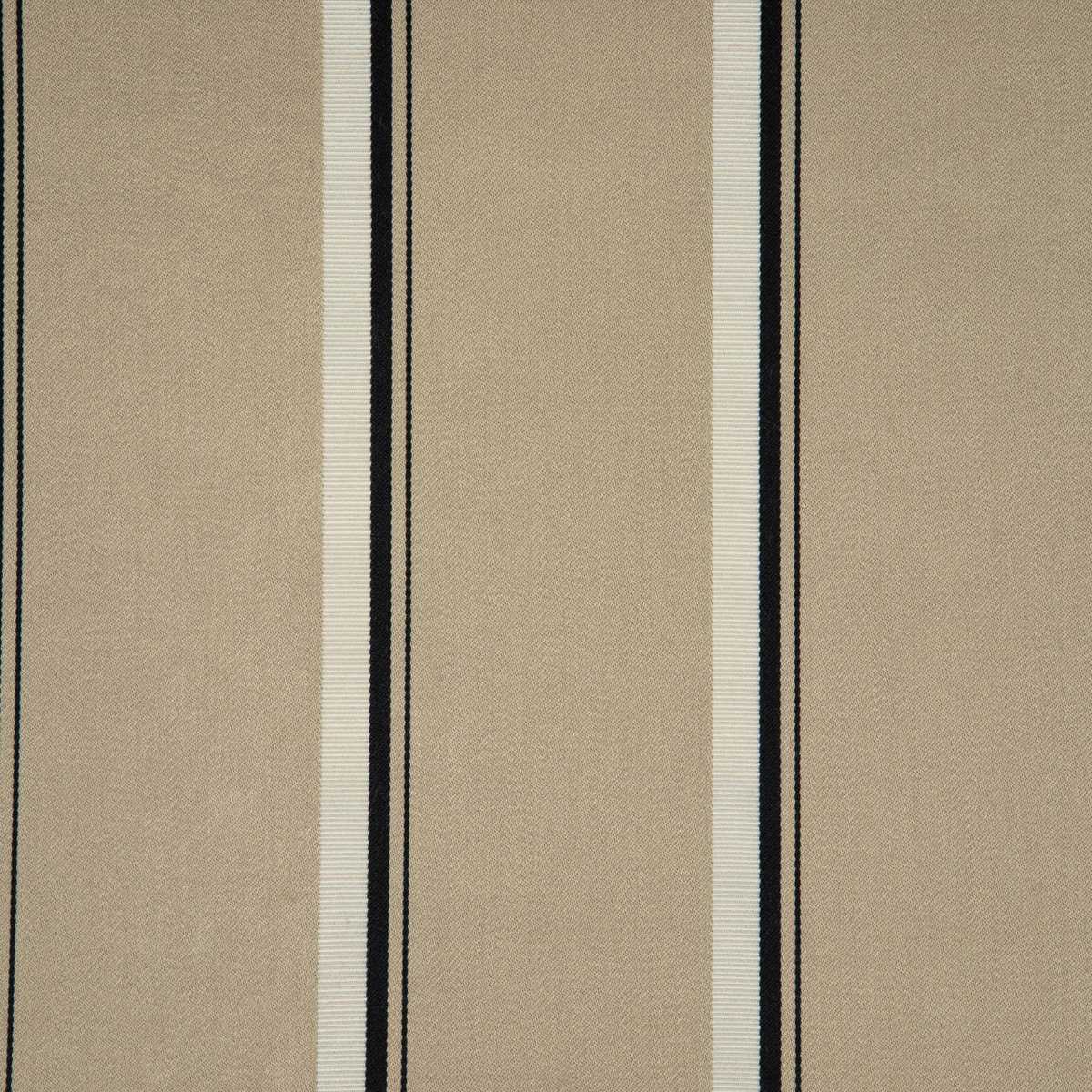 Acacia 3251-03