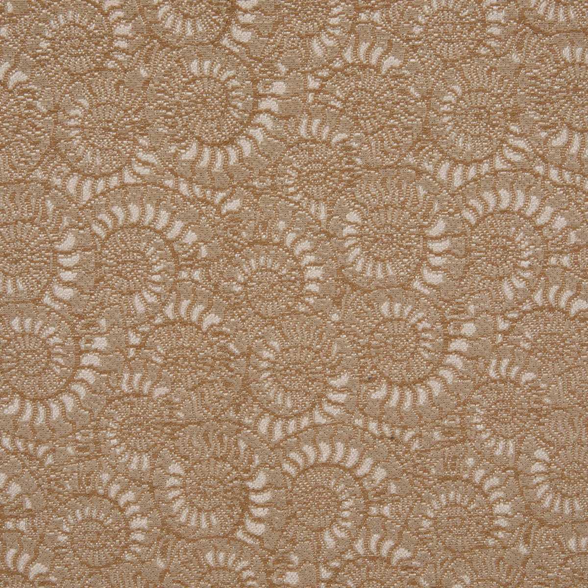 Ammonite 3233-02