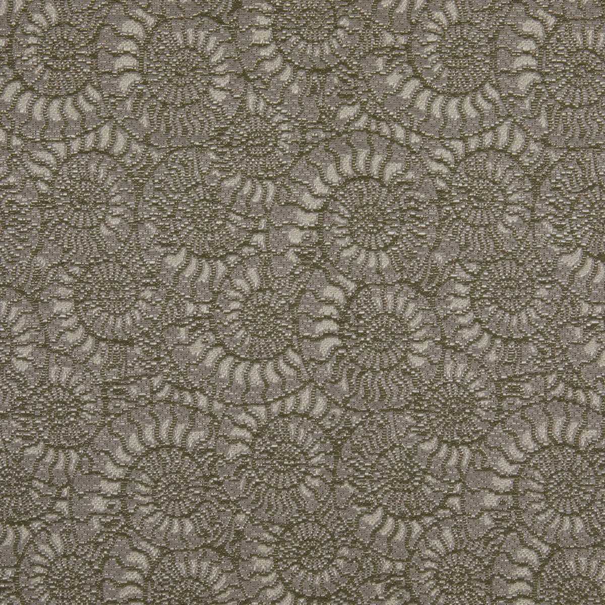 Ammonite 3233-03