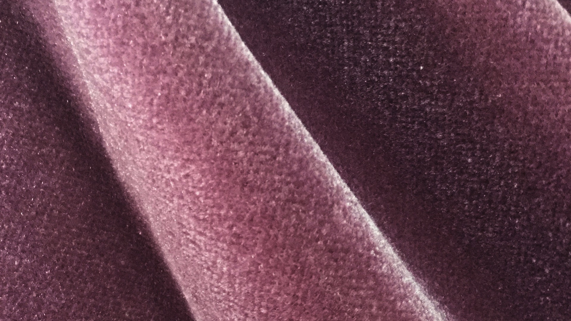 Berry 0363-07