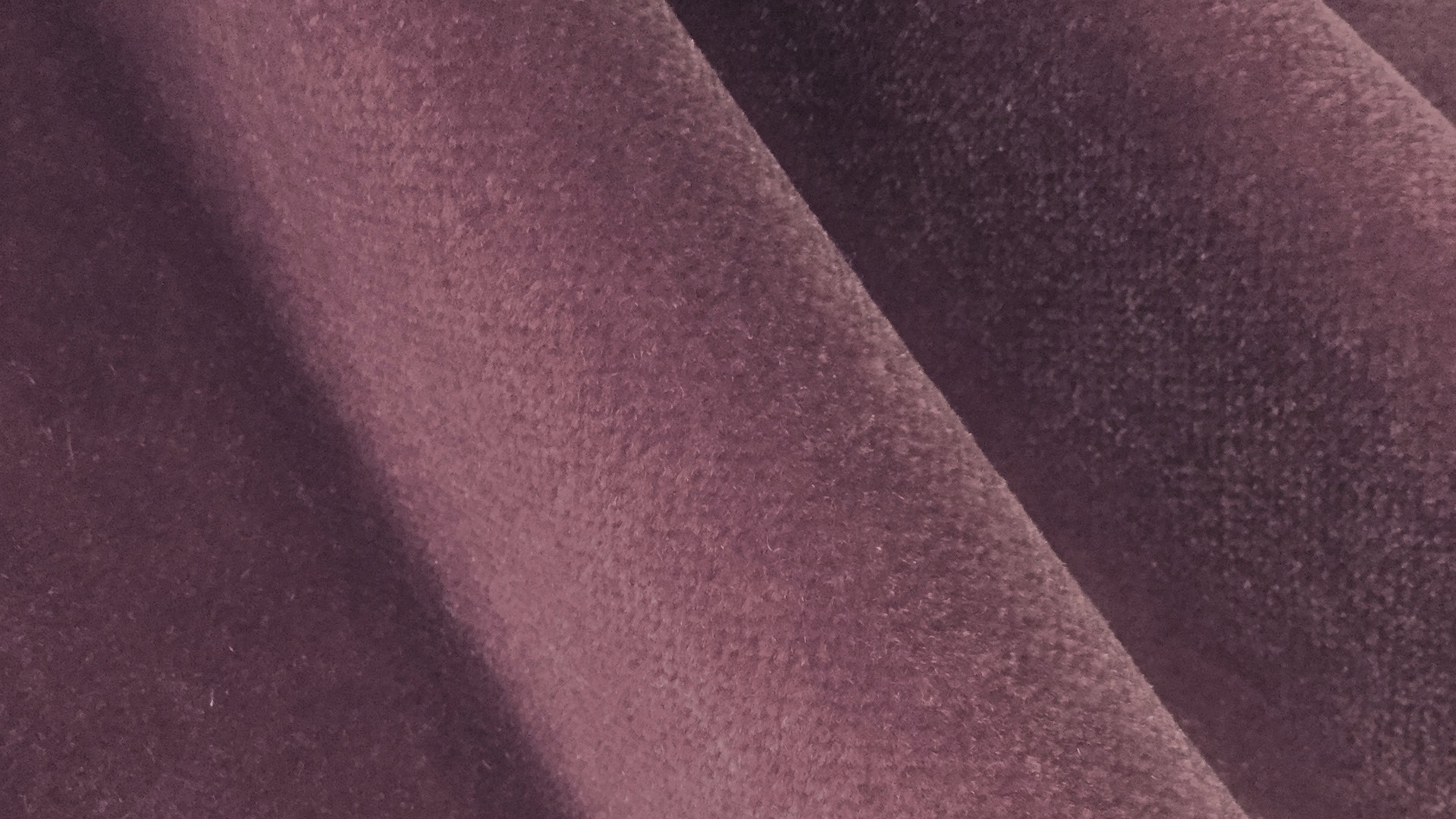 Berry 0363-08