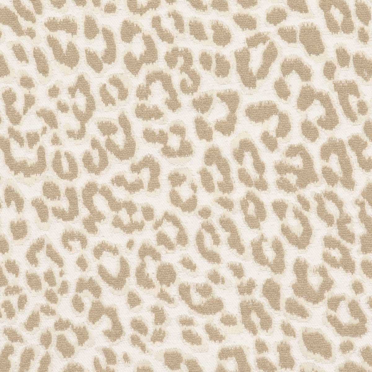 Feline 3248-02
