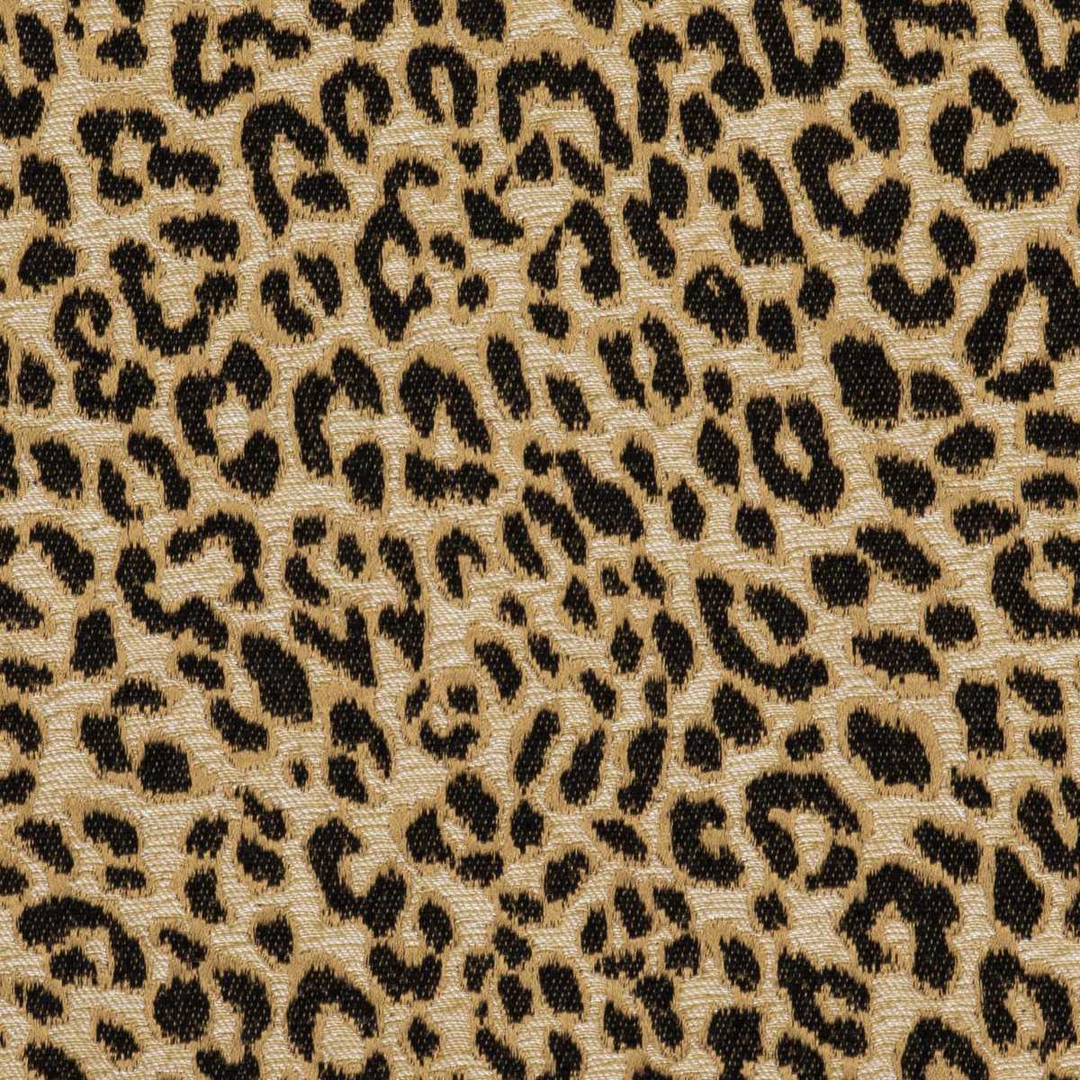 Feline 3248-05