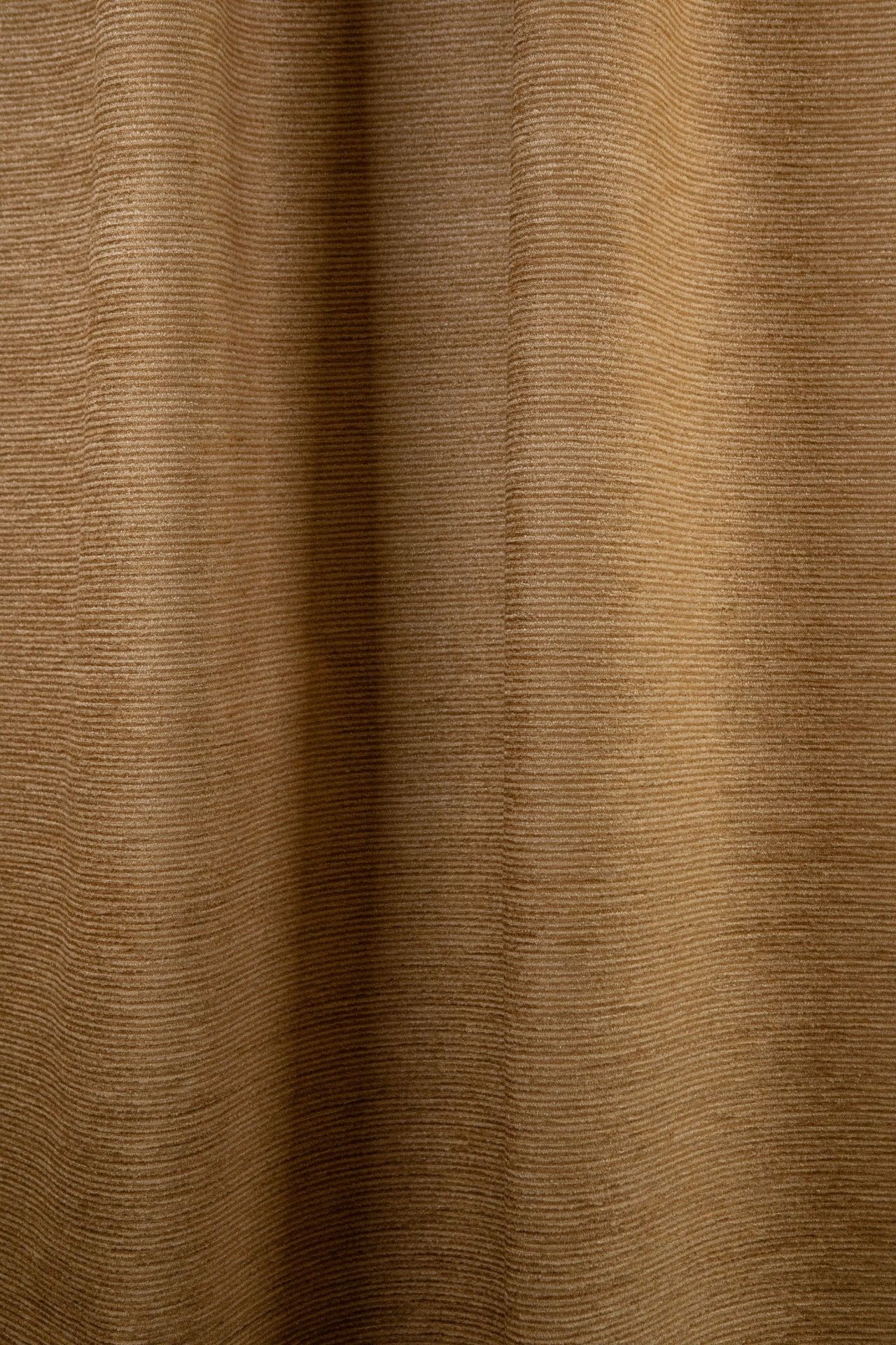 Filao 0446-23