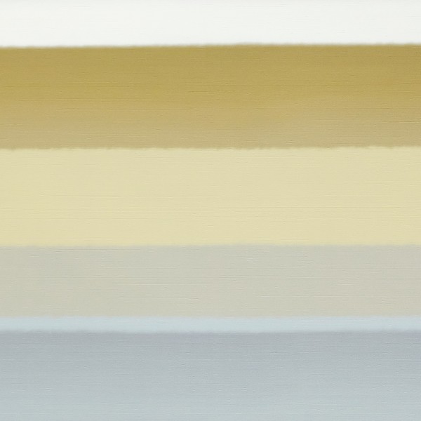 Variation 6456-03