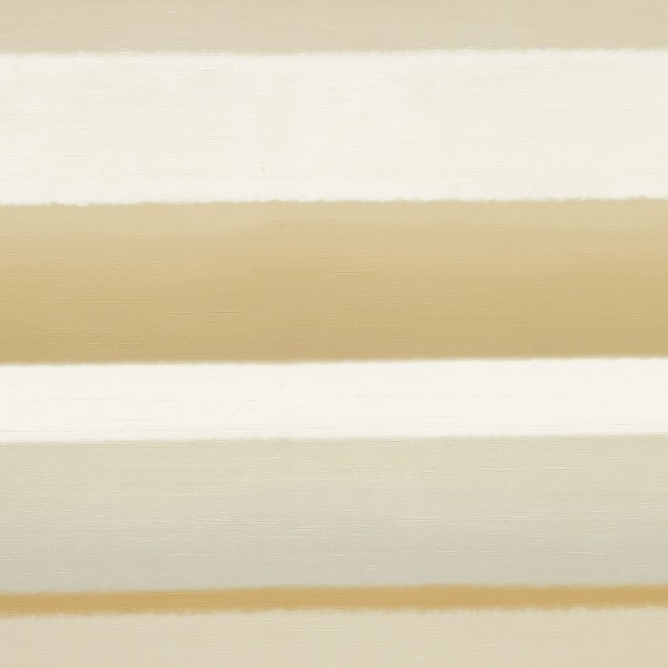 Variation 6456-01