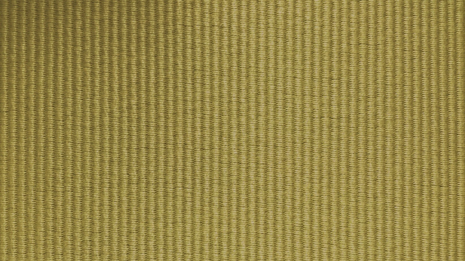 Vizir 0295-43
