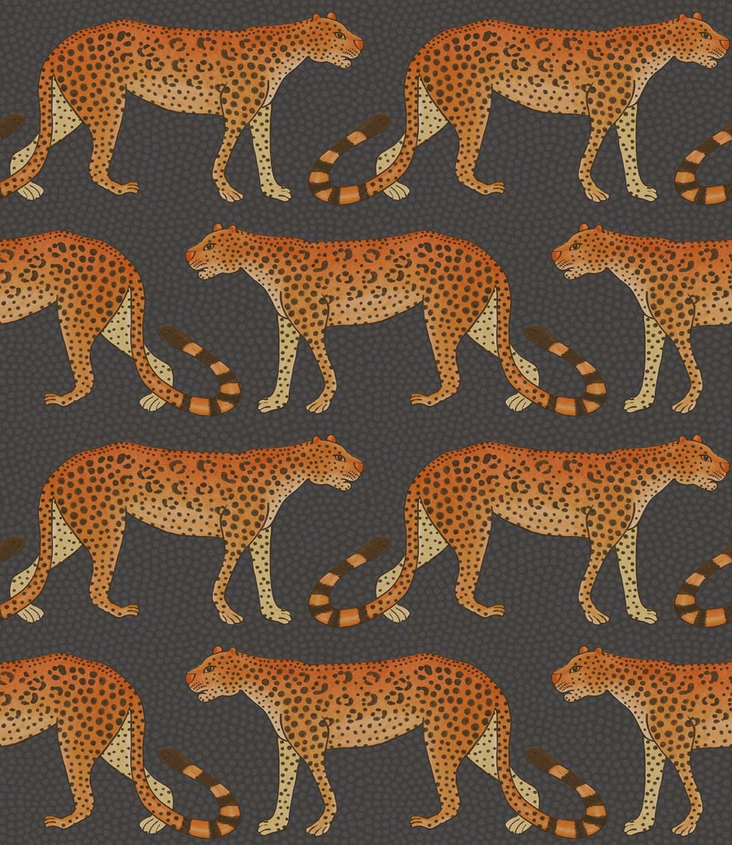 Leopard Walk 109-2008