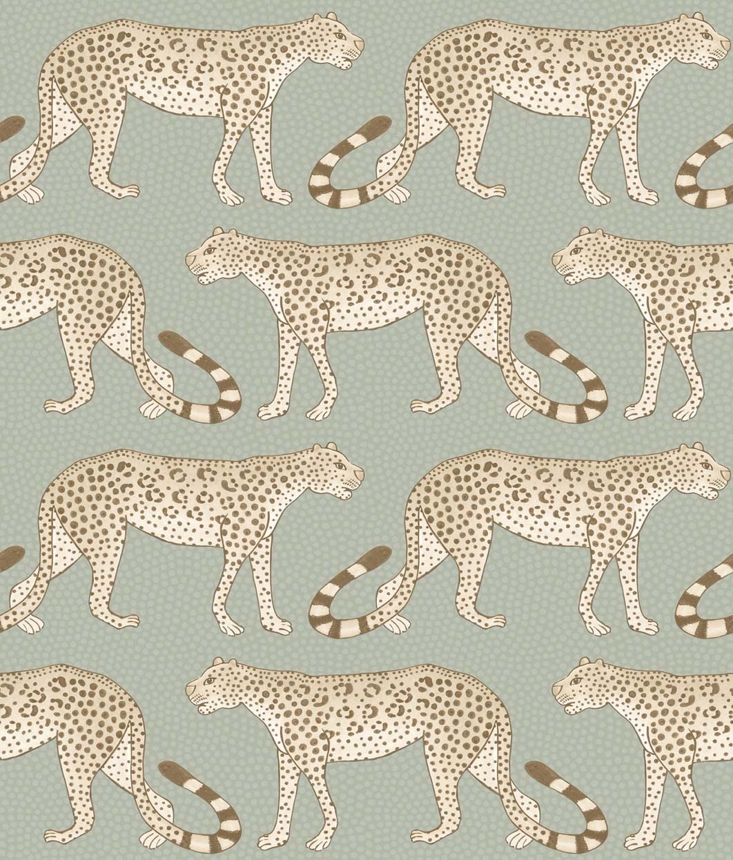 Leopard Walk 109-2009
