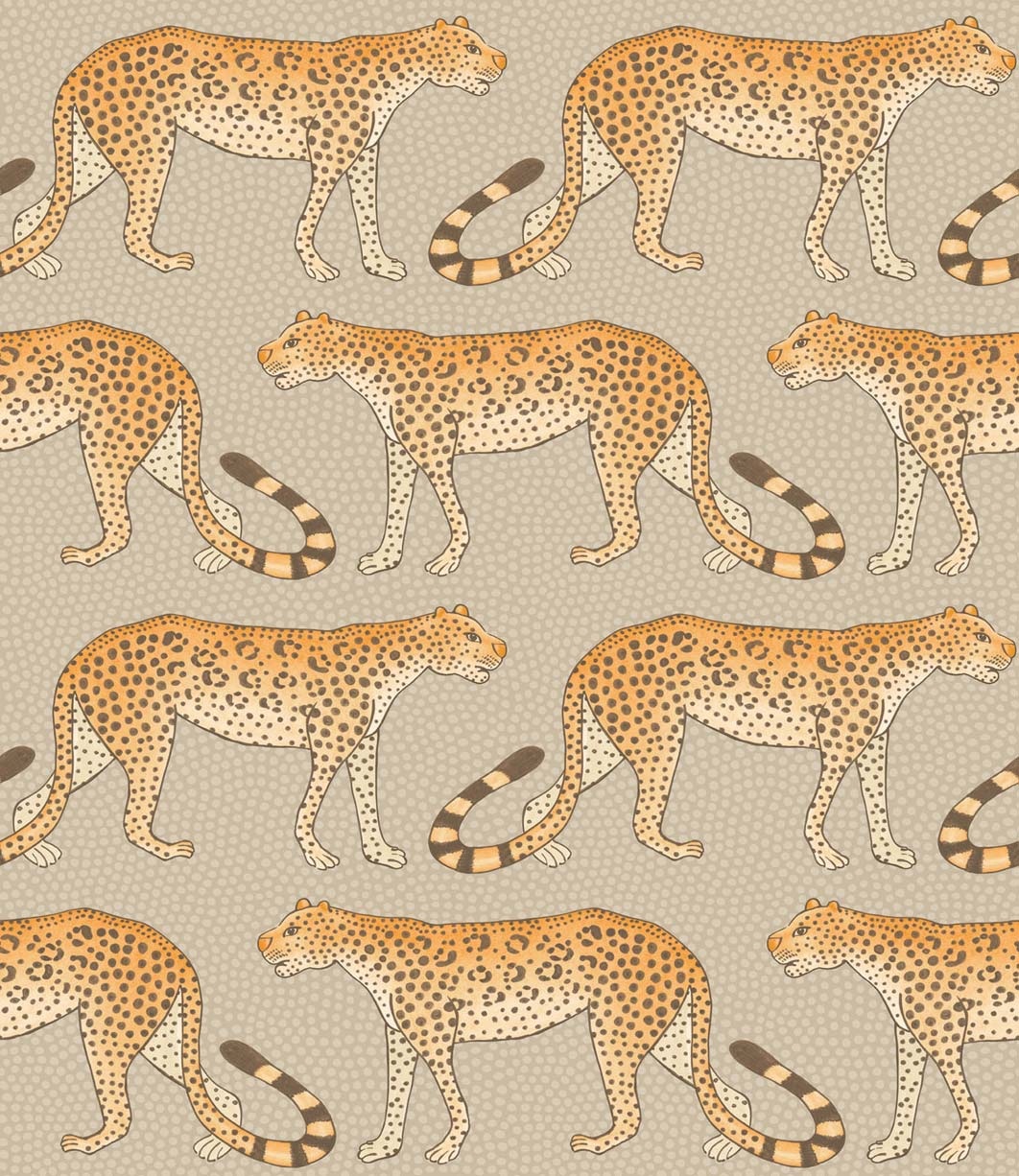 Leopard Walk 109-2010
