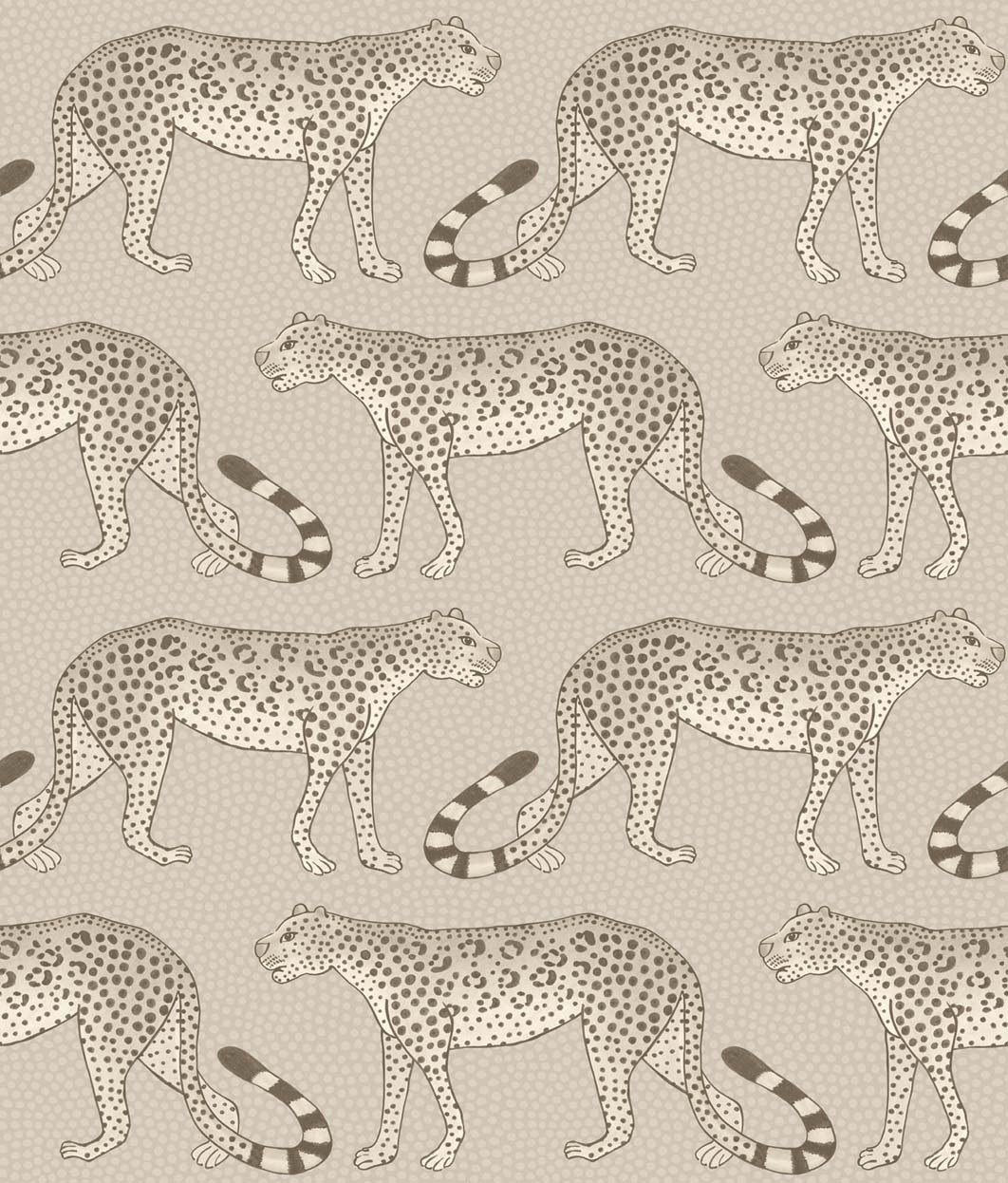 Leopard Walk 109-2012