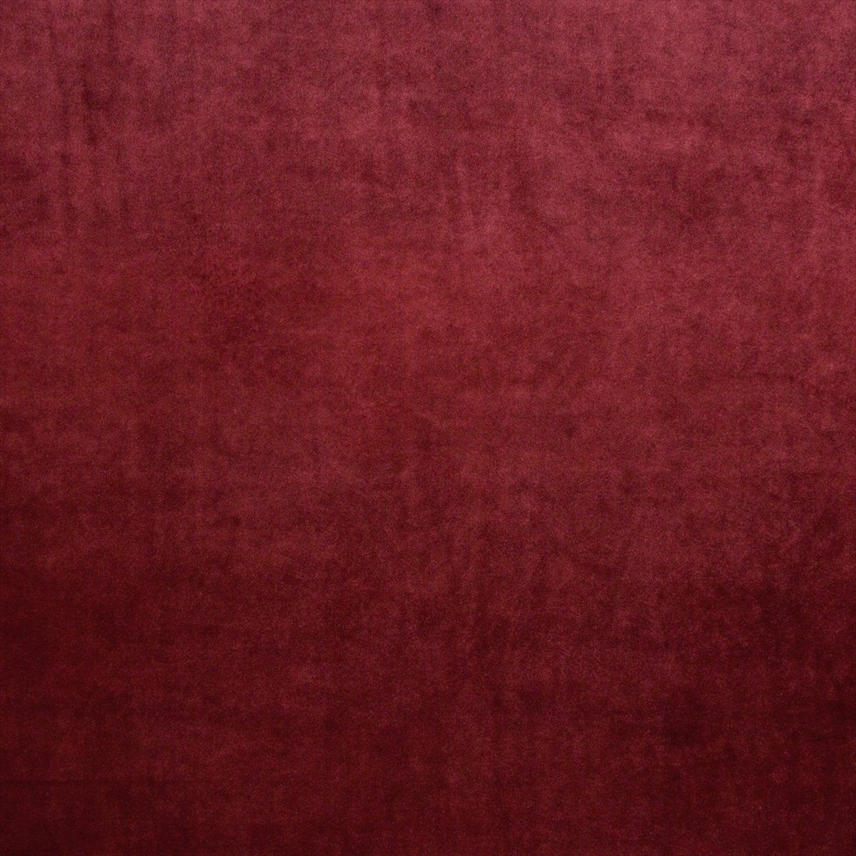 Letino Cranberry