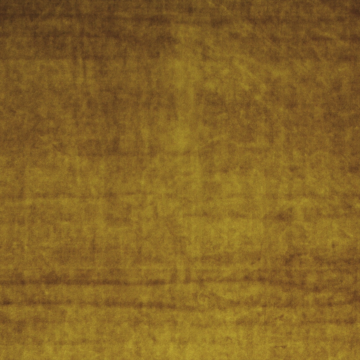 Letino Mustard