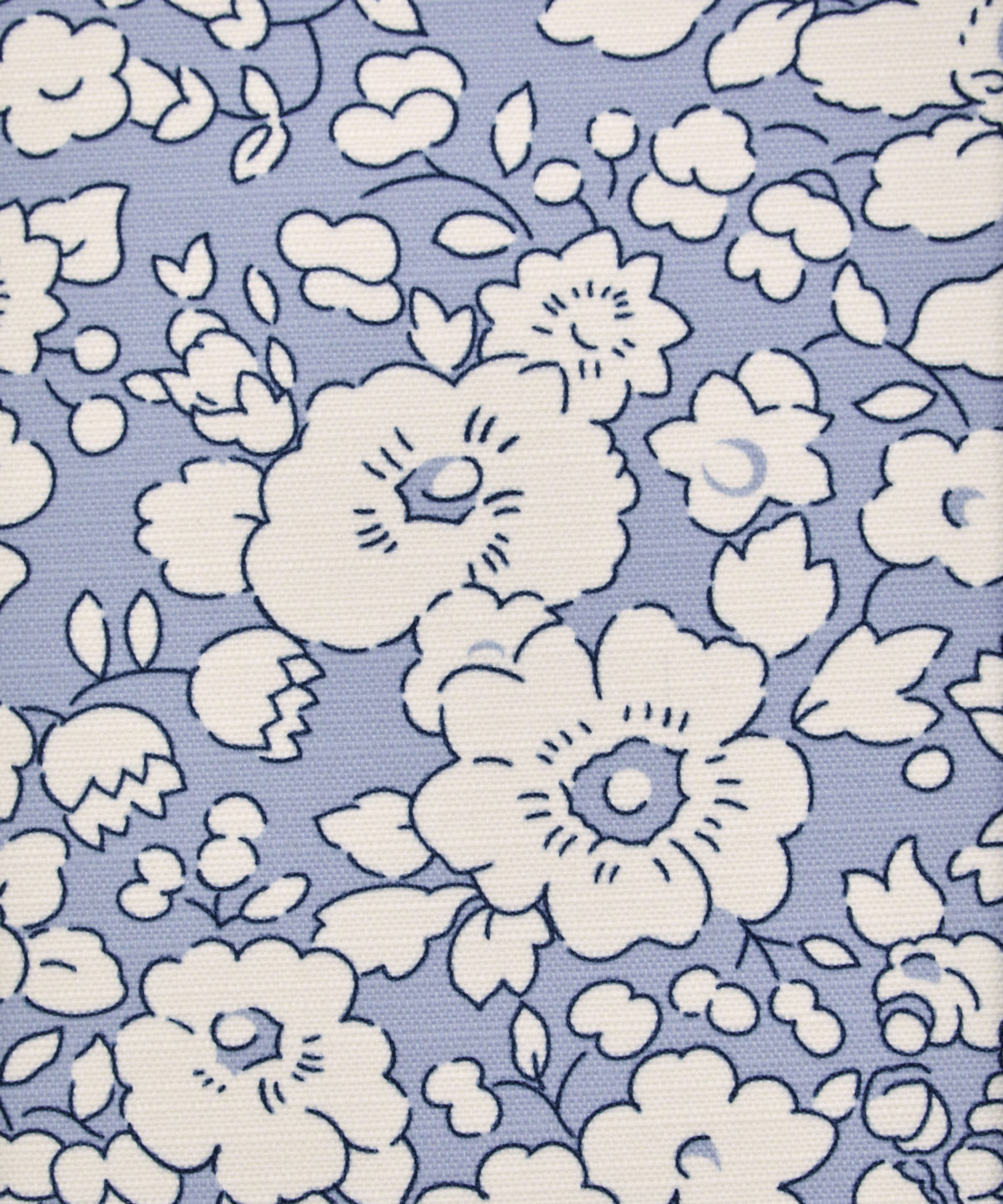 Betsy Bloom 08202101C