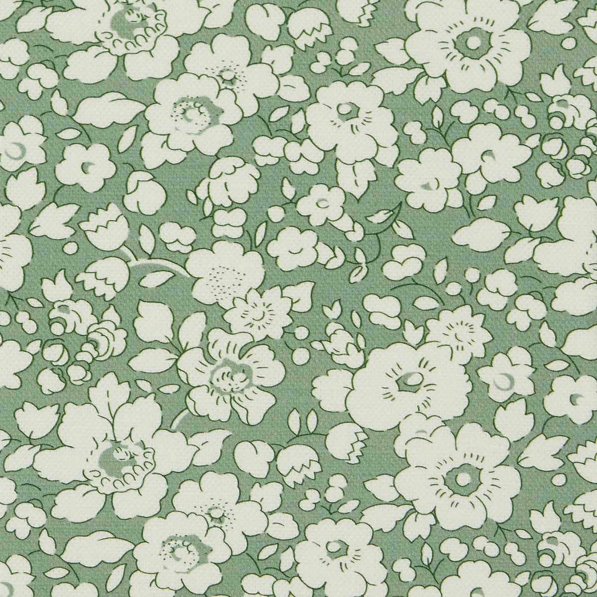 Betsy Bloom 08802304F