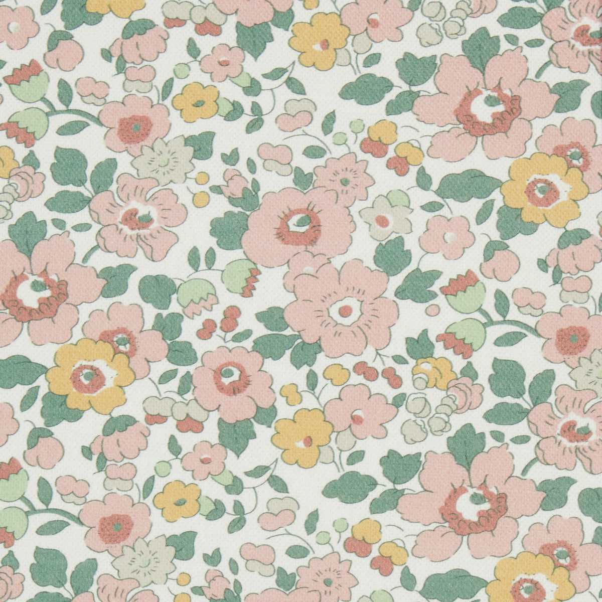Betsy Flora 08802303L
