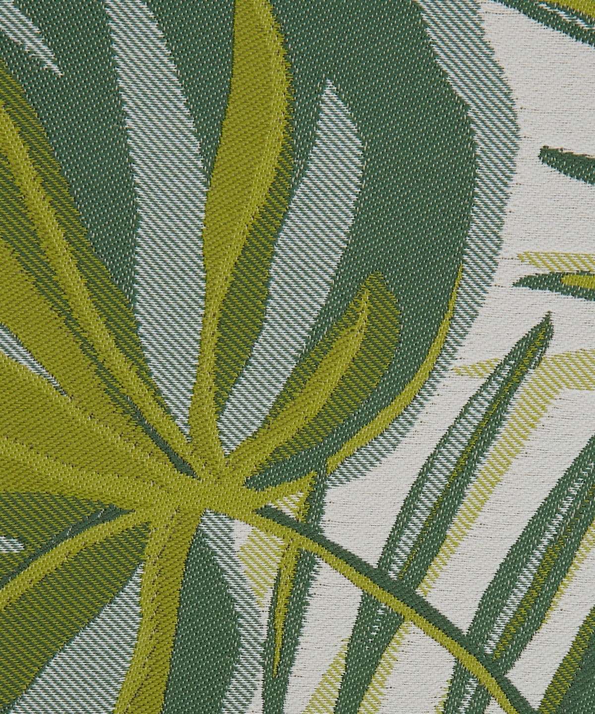 Chile Palm 08282101H