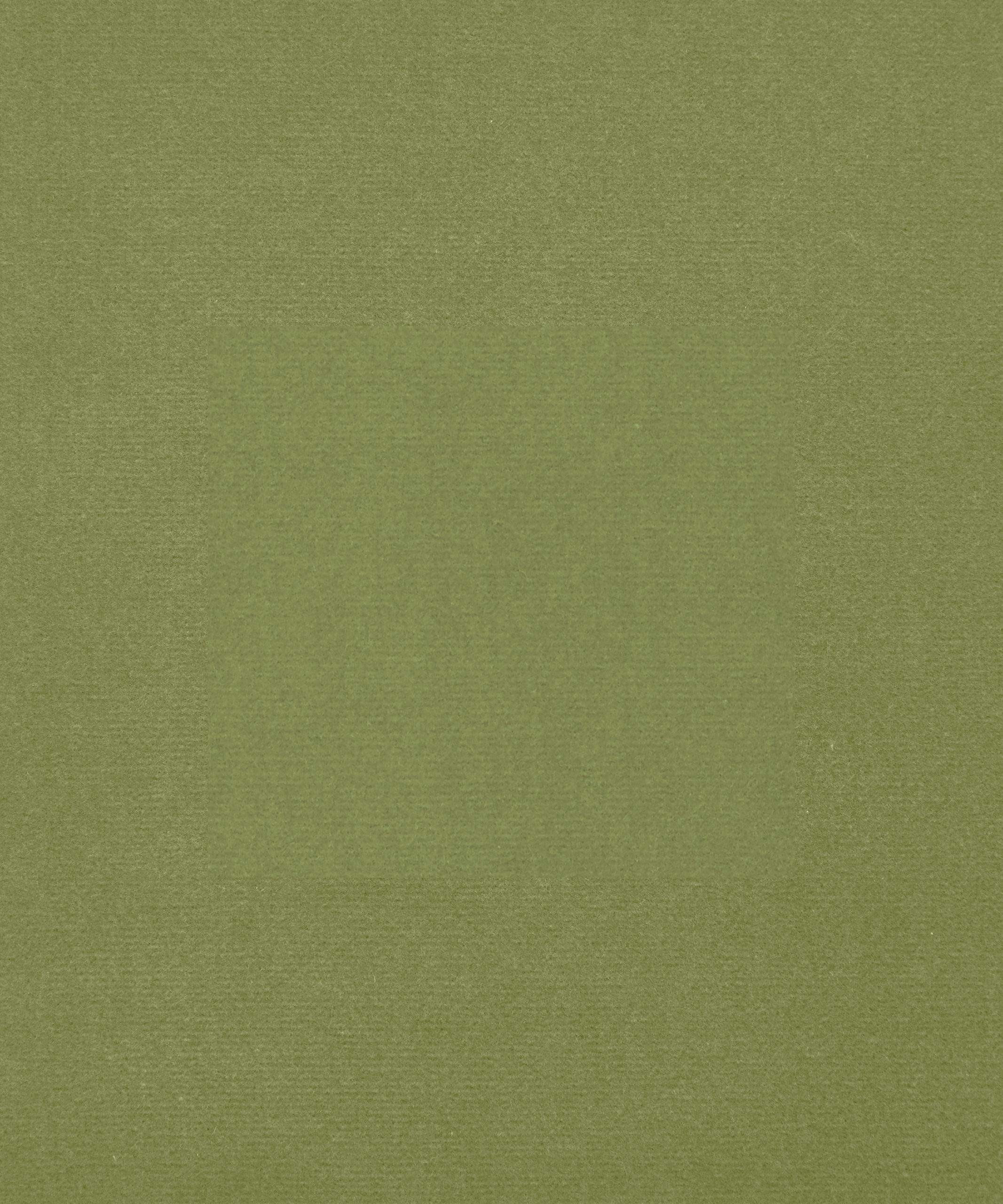 Cotton Velvet 06591101H