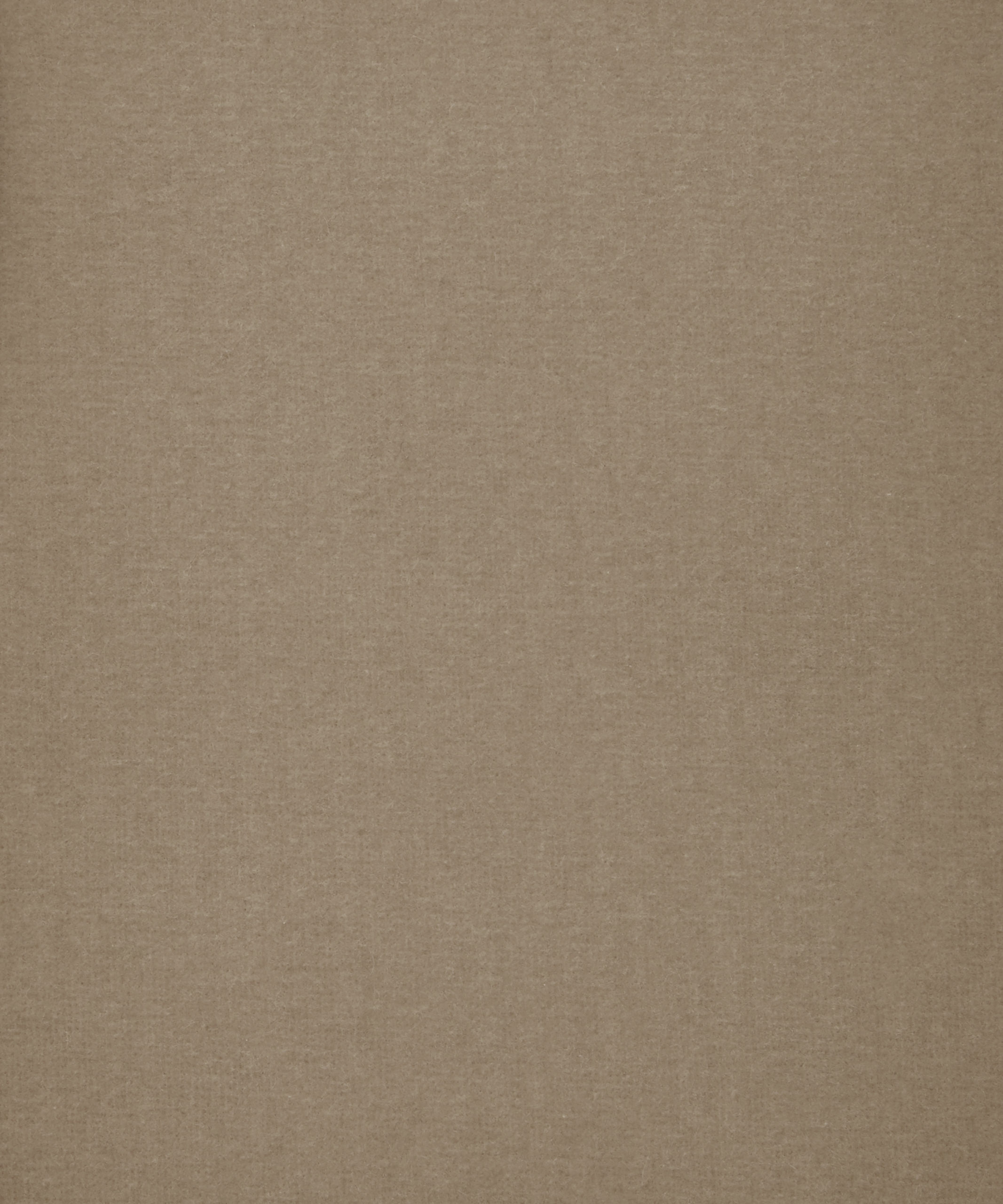 Cotton Velvet 06591101L