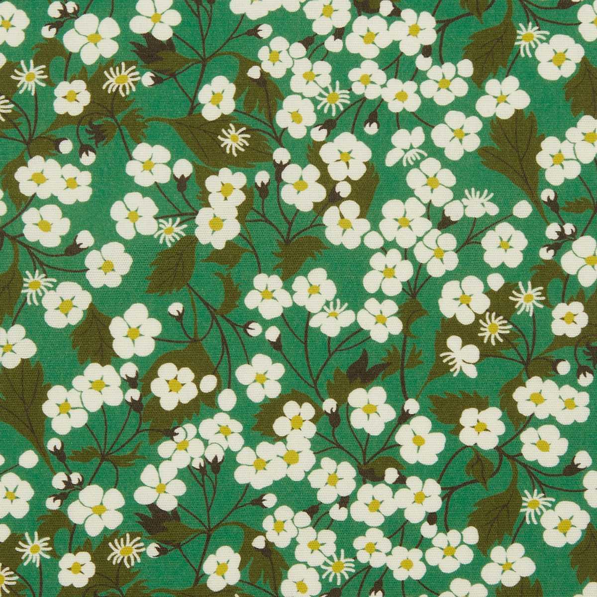 Mitsi Blossom 08832303I