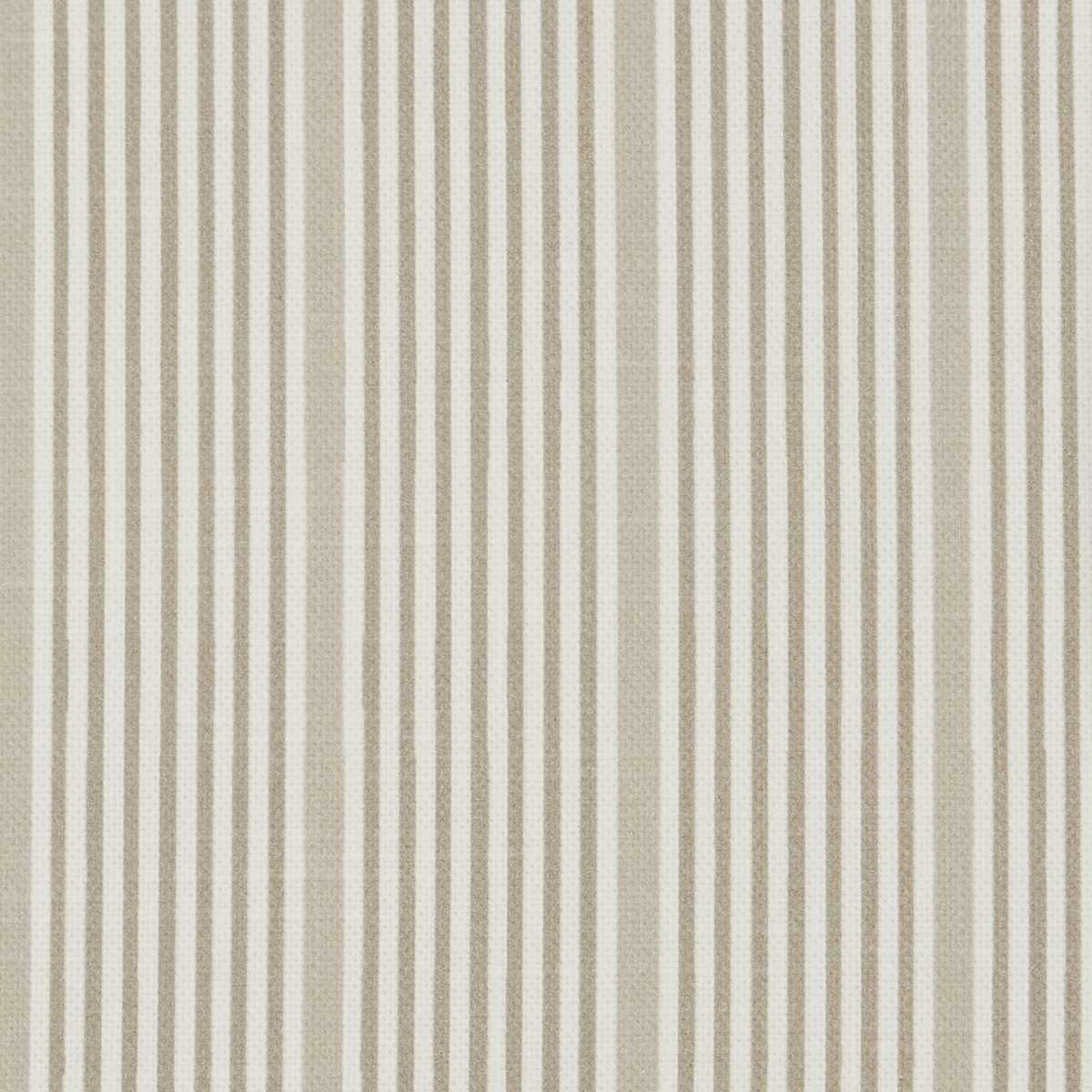 Park Stripe 08812305M