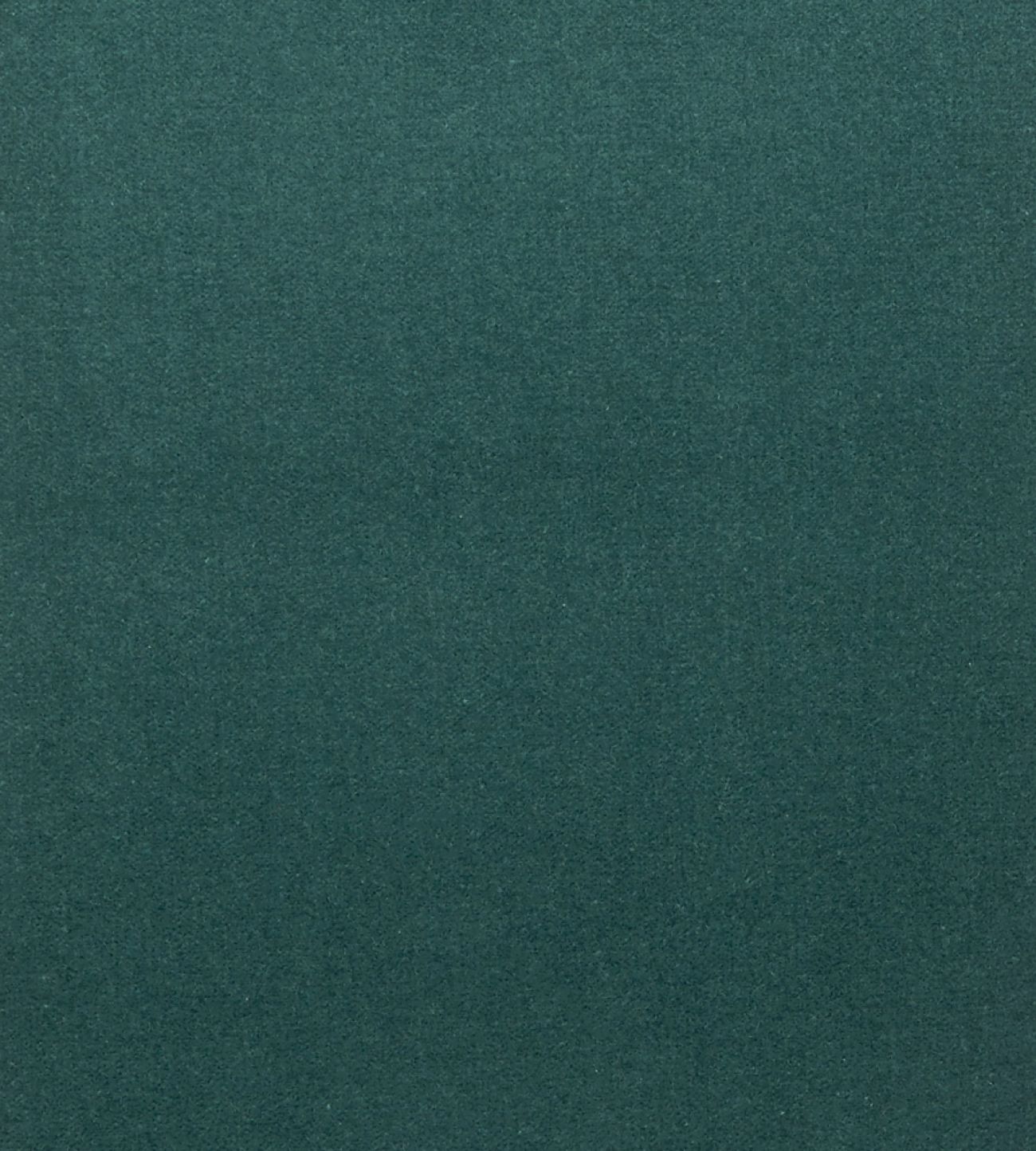 Cotton Velvet 06591101F