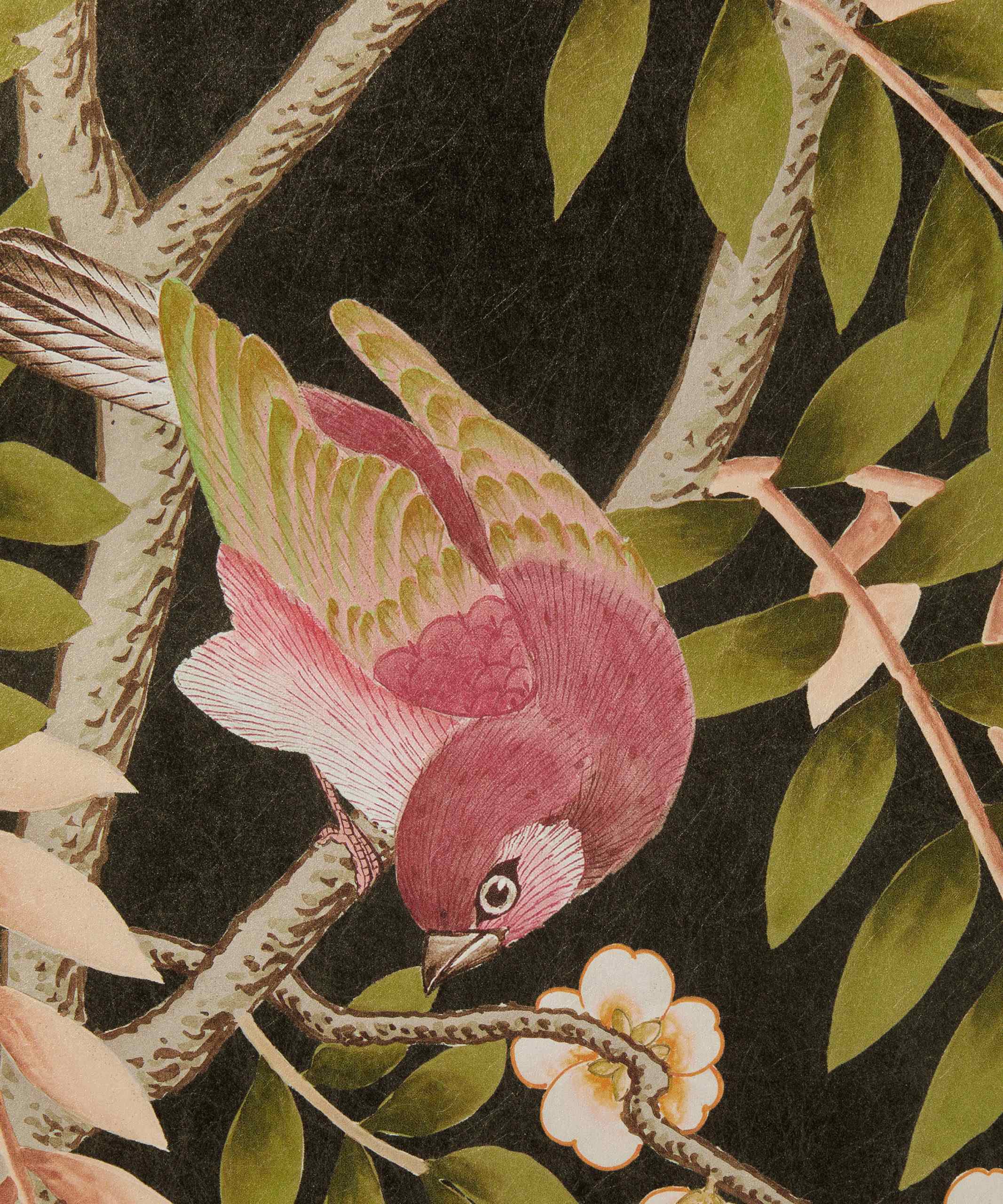 Silk Tree 07292202E
