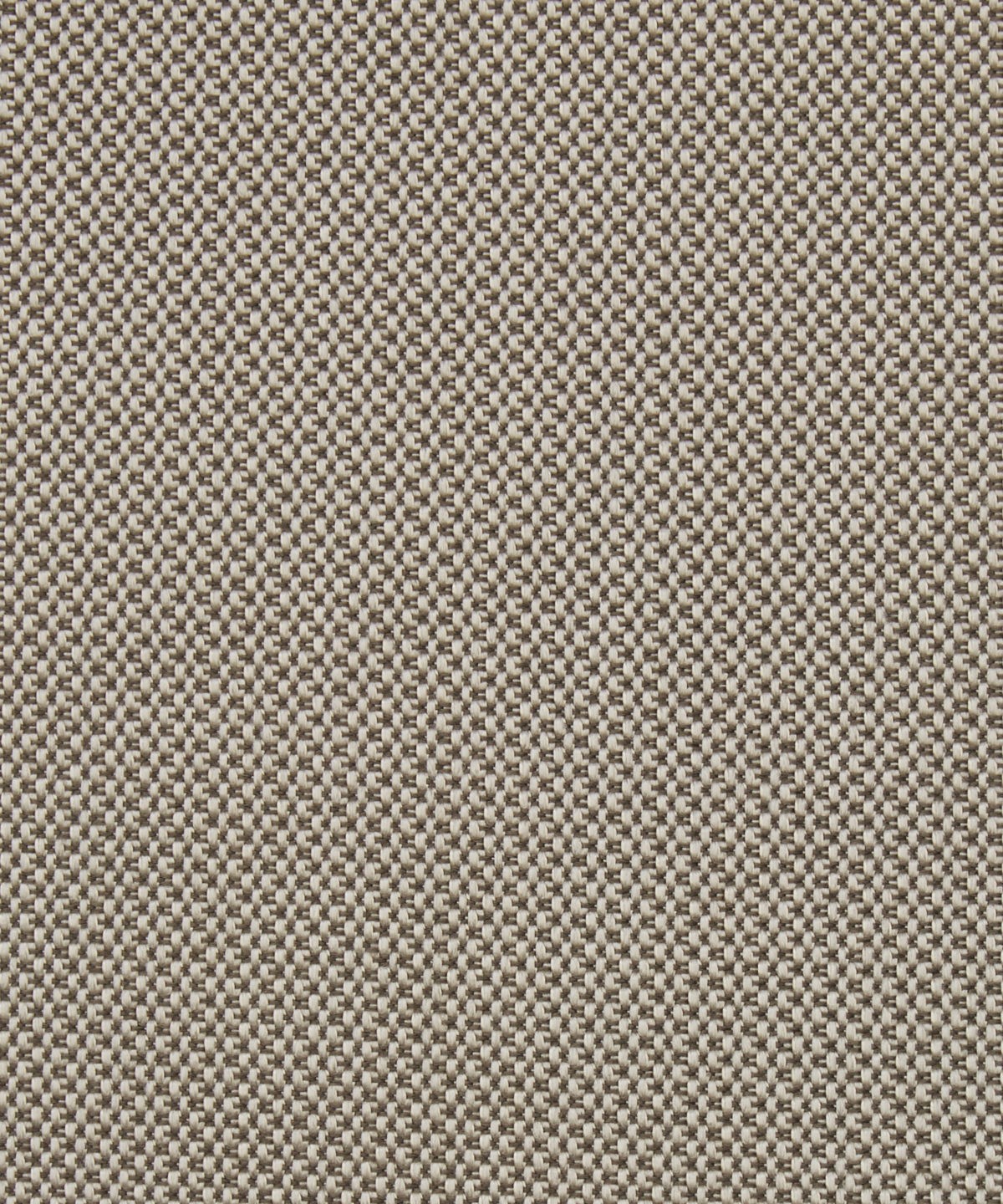 Tempera 08302101L