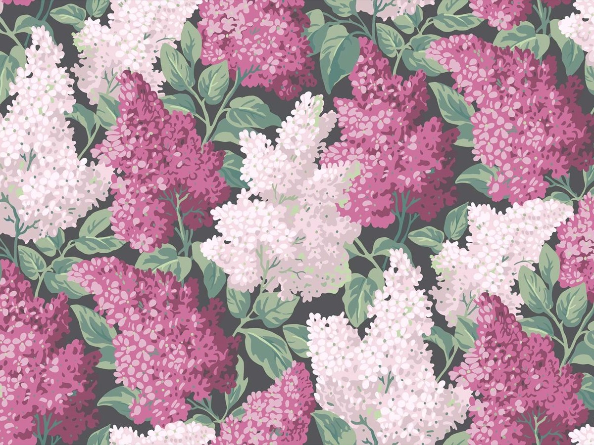 Lilac 115-1001