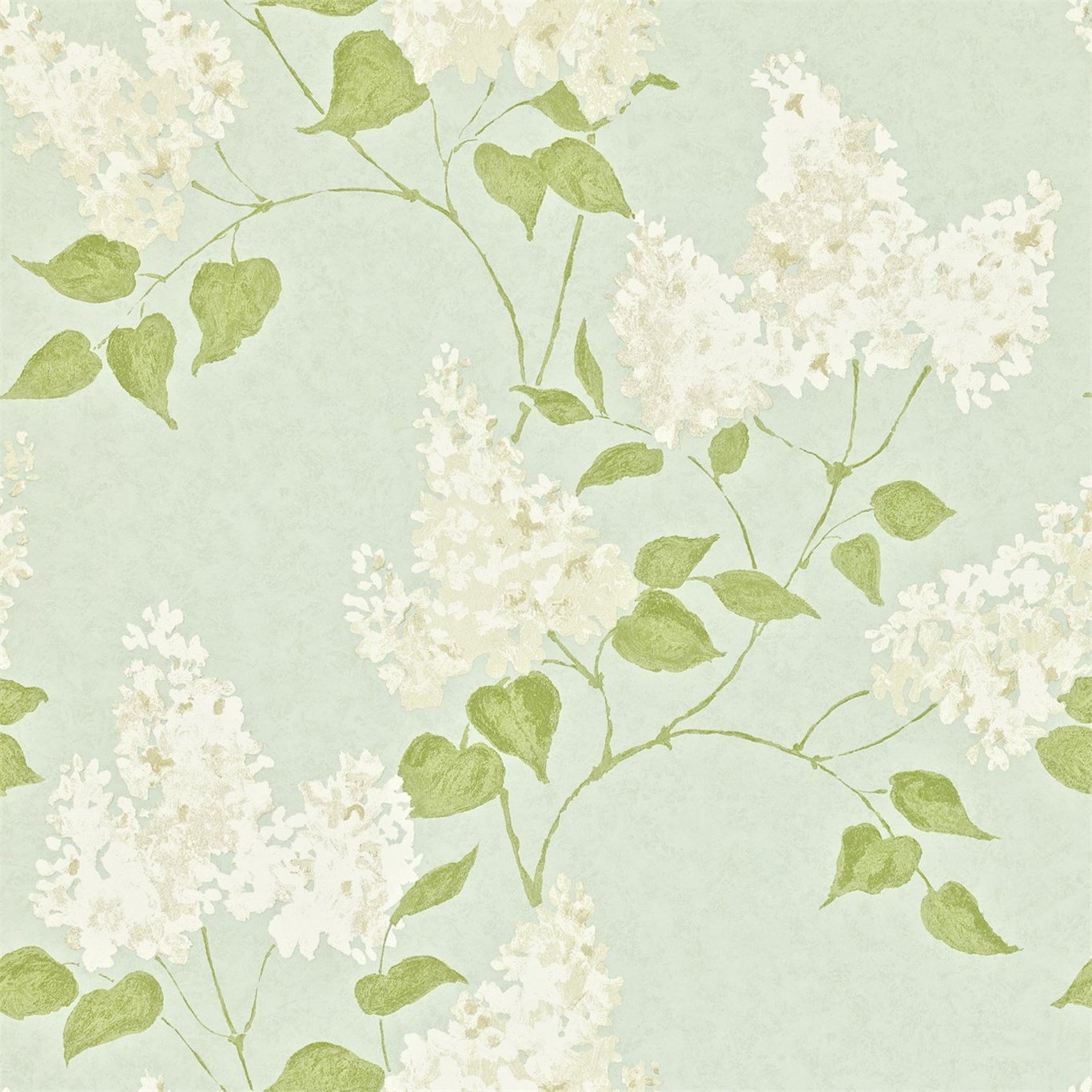 Lilacs DMAY211983