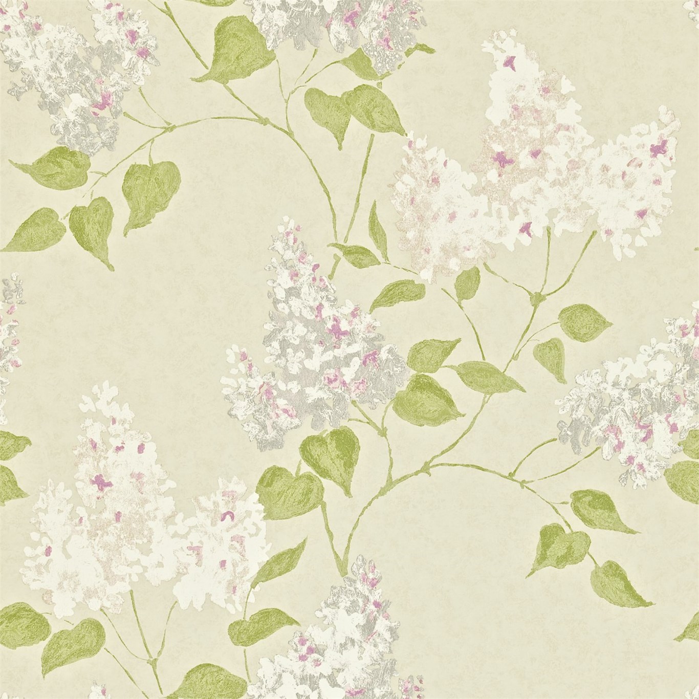 Lilacs DMAY211986