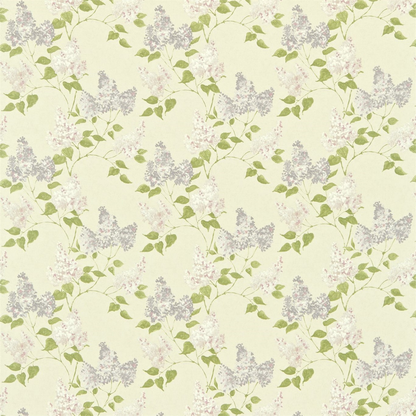 Lilacs DMAY221958