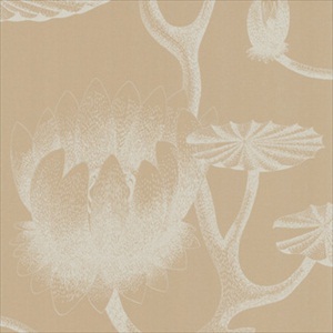 Lily 69-3113