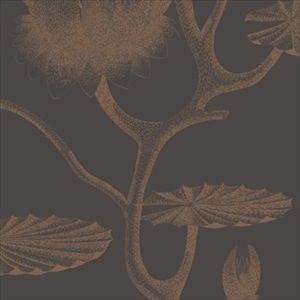Lily 95-4021