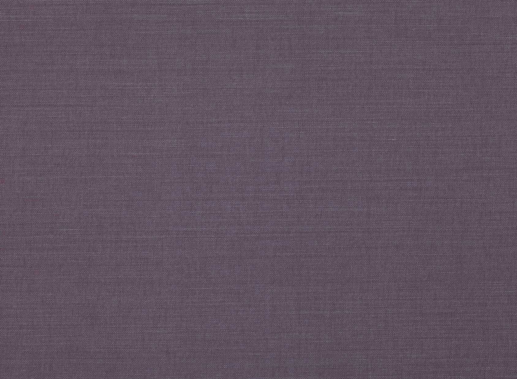 Linara Allium 2494-334