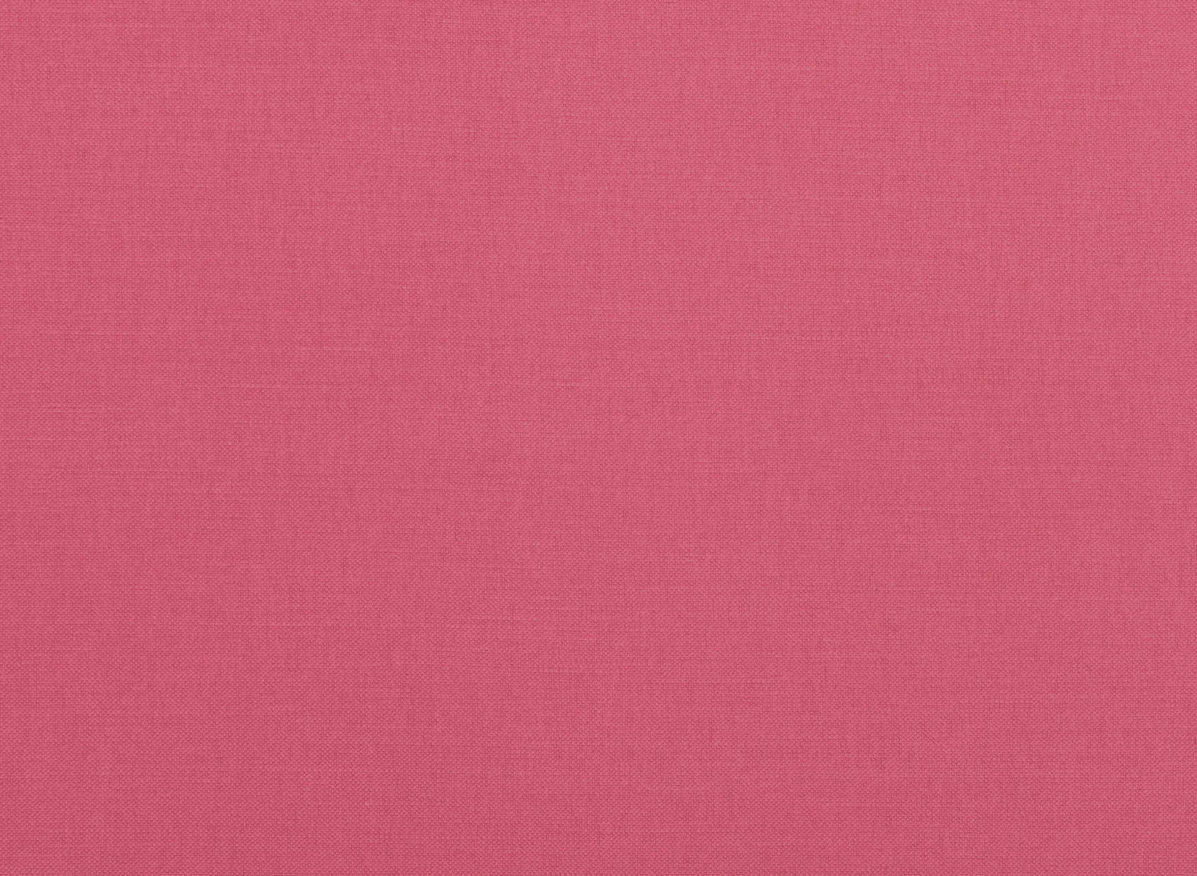 Linara Buddleia 2494-486