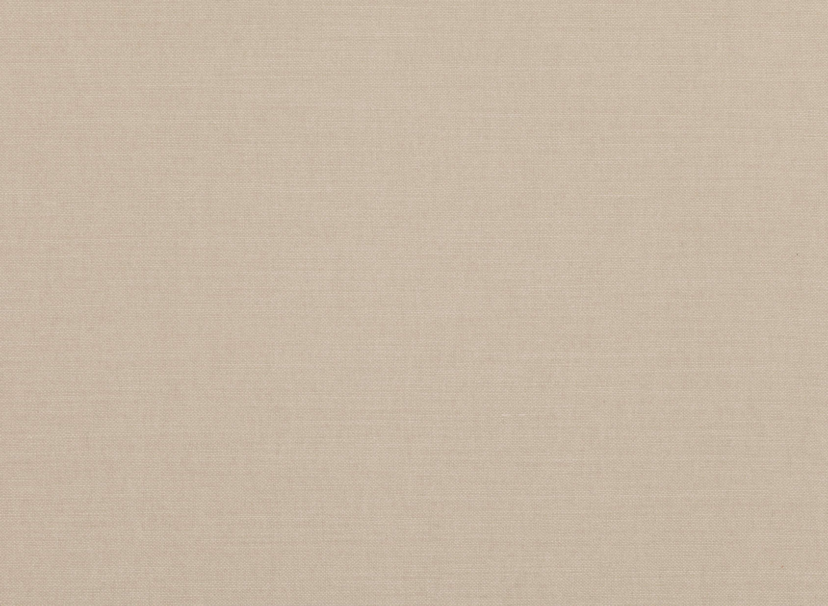 Linara Chickpea 2494-435
