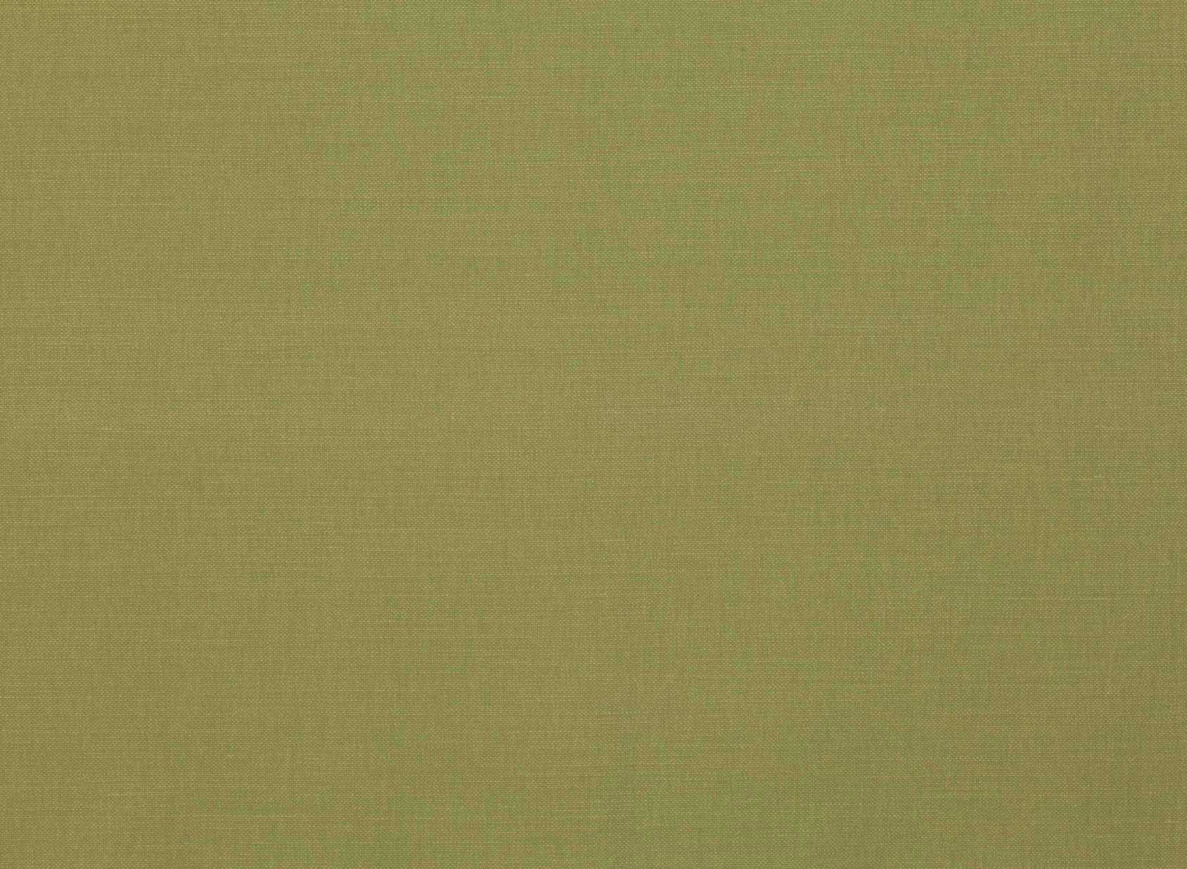 Linara Elm 2494-275