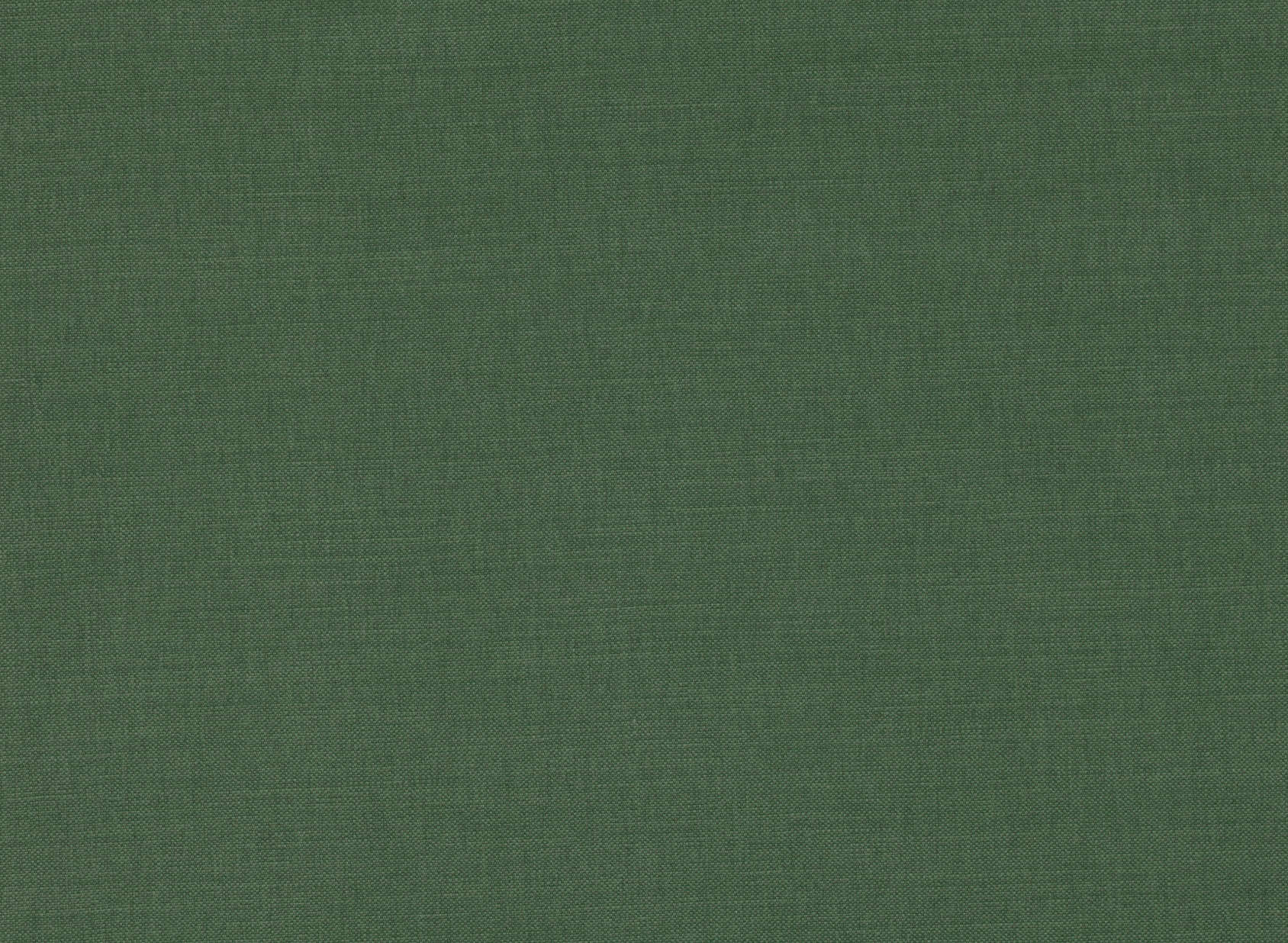 Linara Forest 2494-386