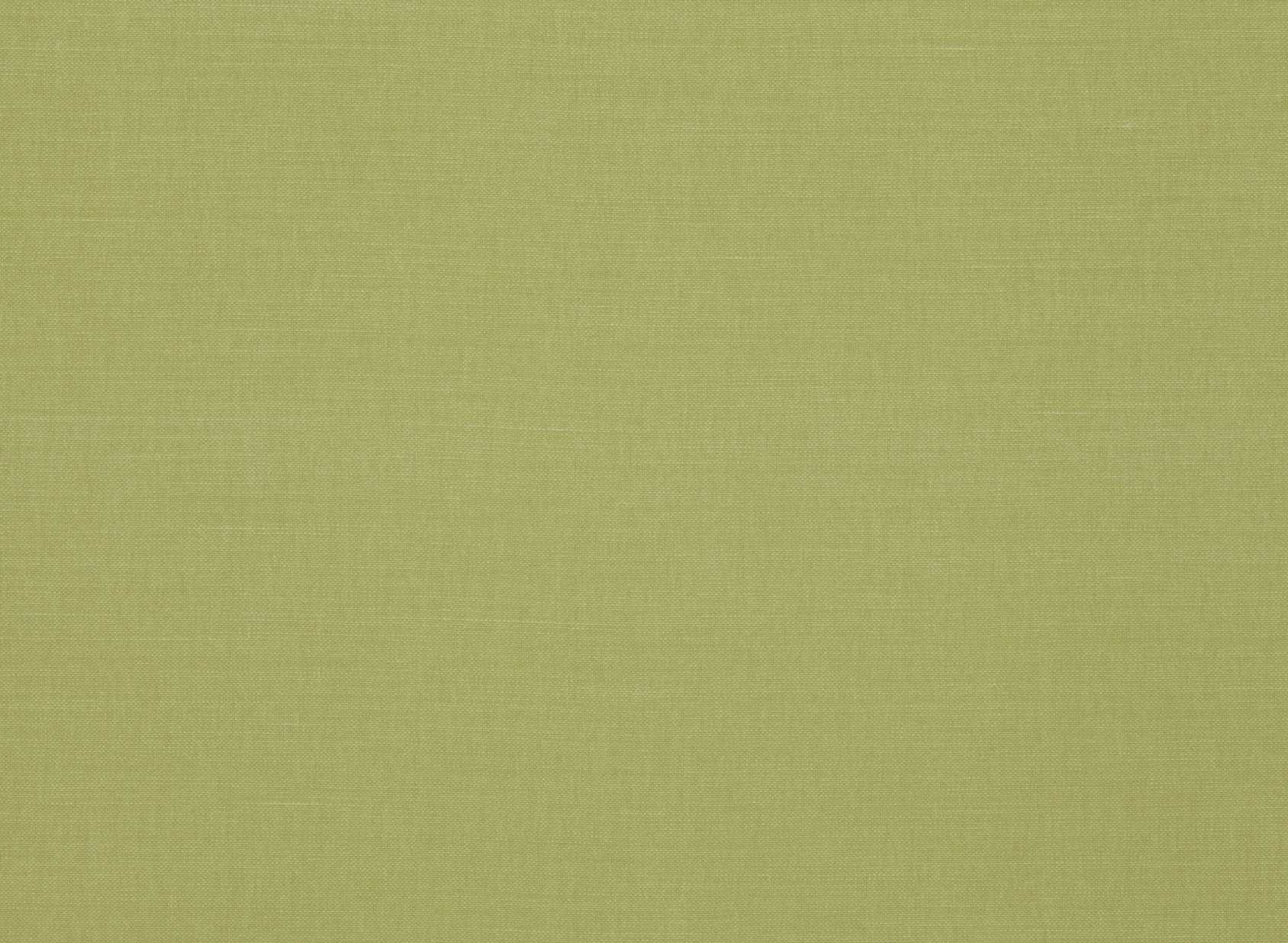 Linara Gooseberry 2494-294