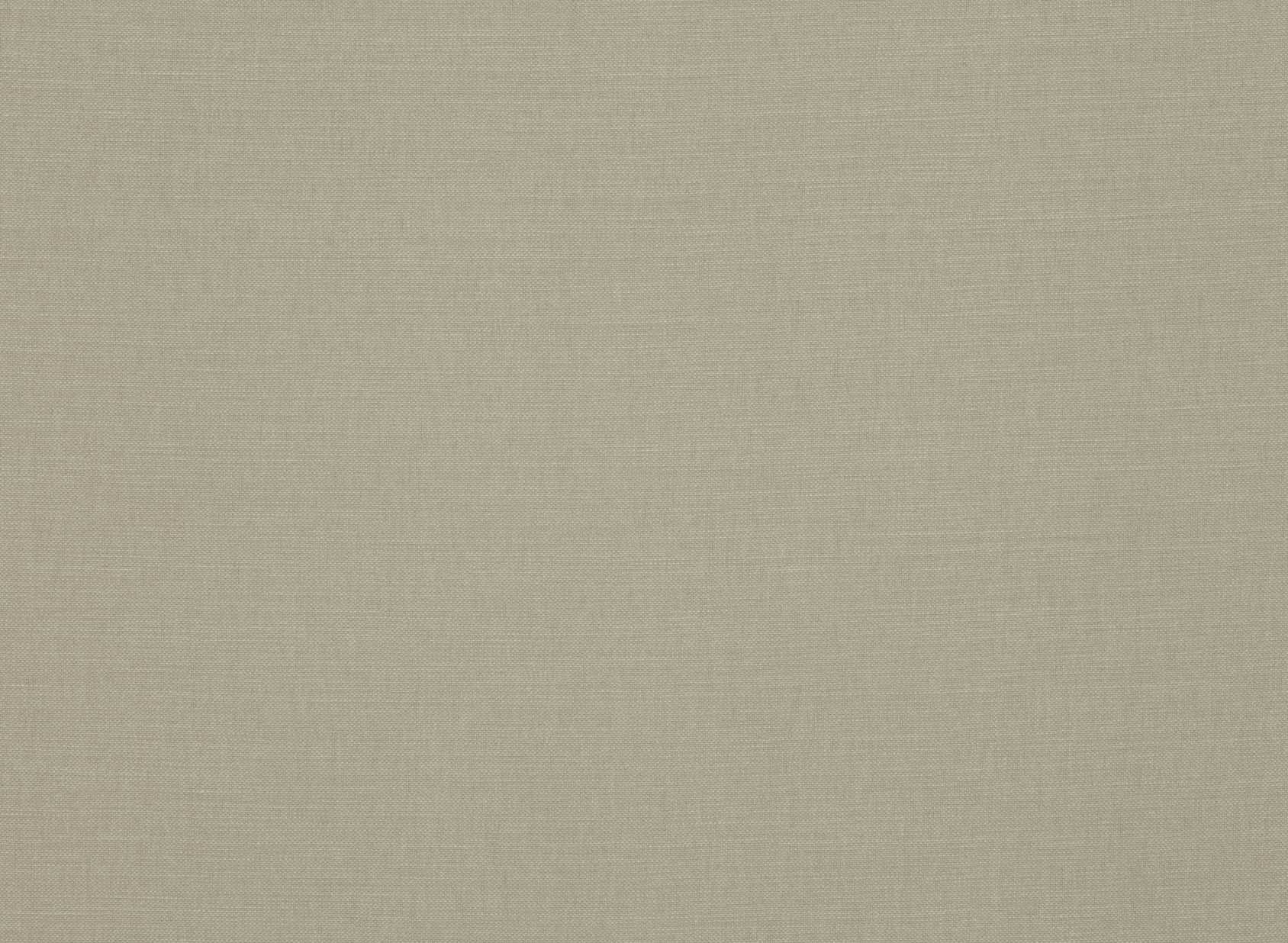 Linara Kelp 2494-339