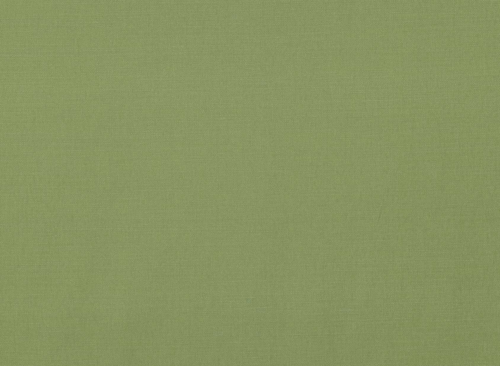 Linara Oregano 2494-273