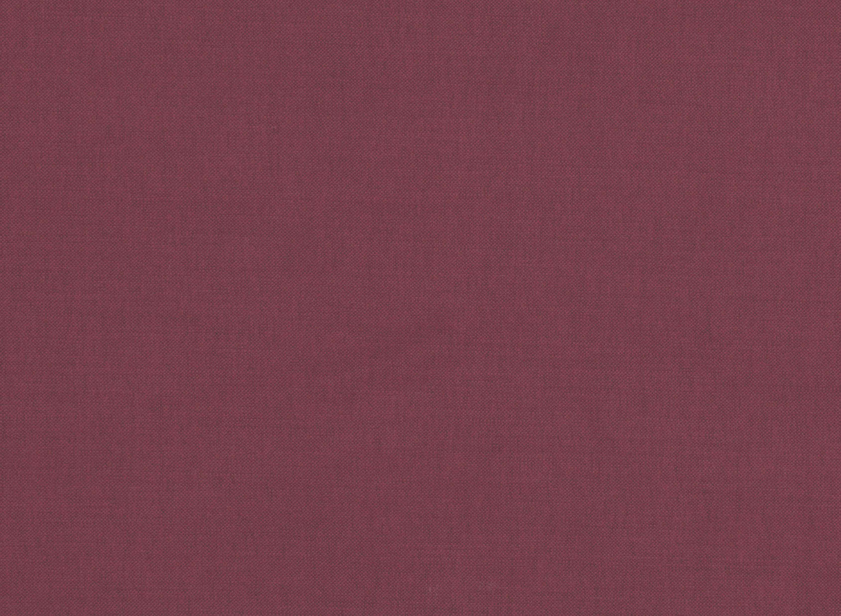 Linara Radicchio 2494-516