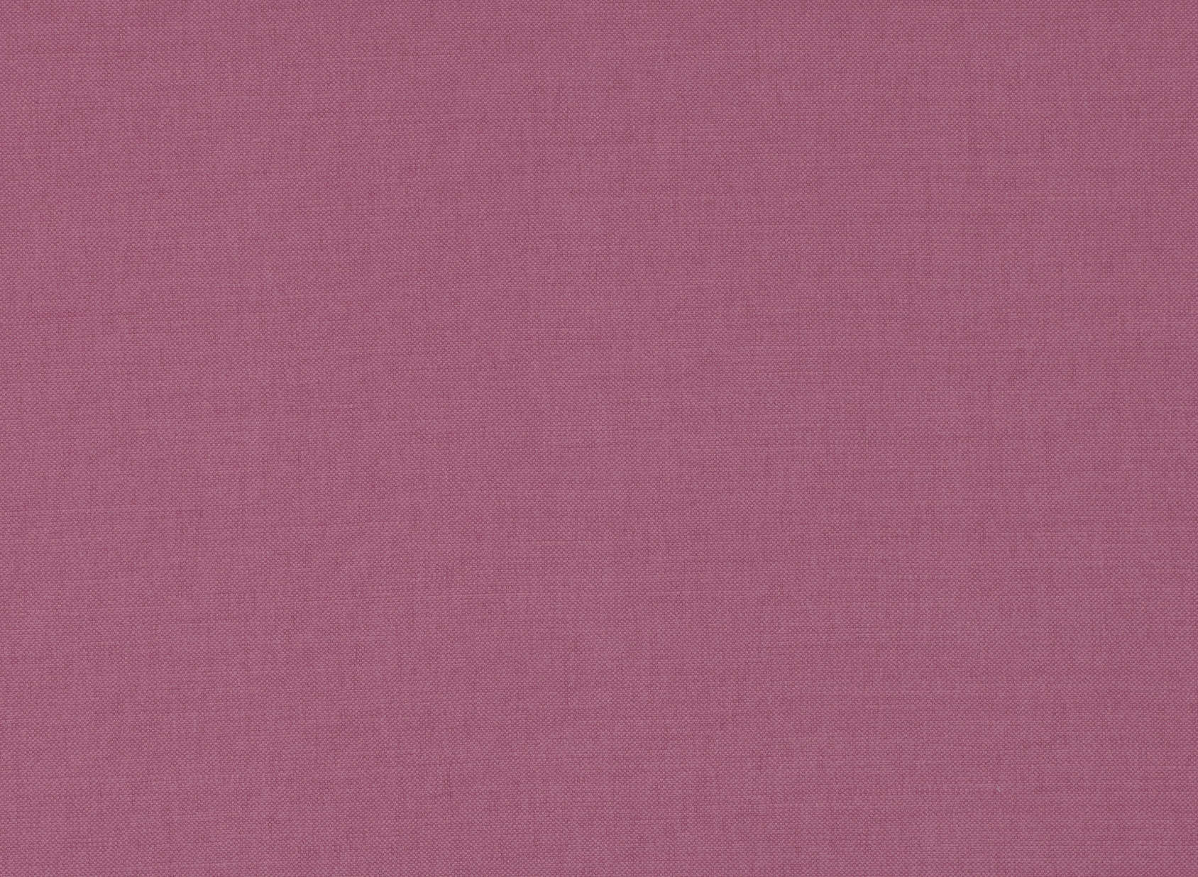 Linara Rosella 2494-419
