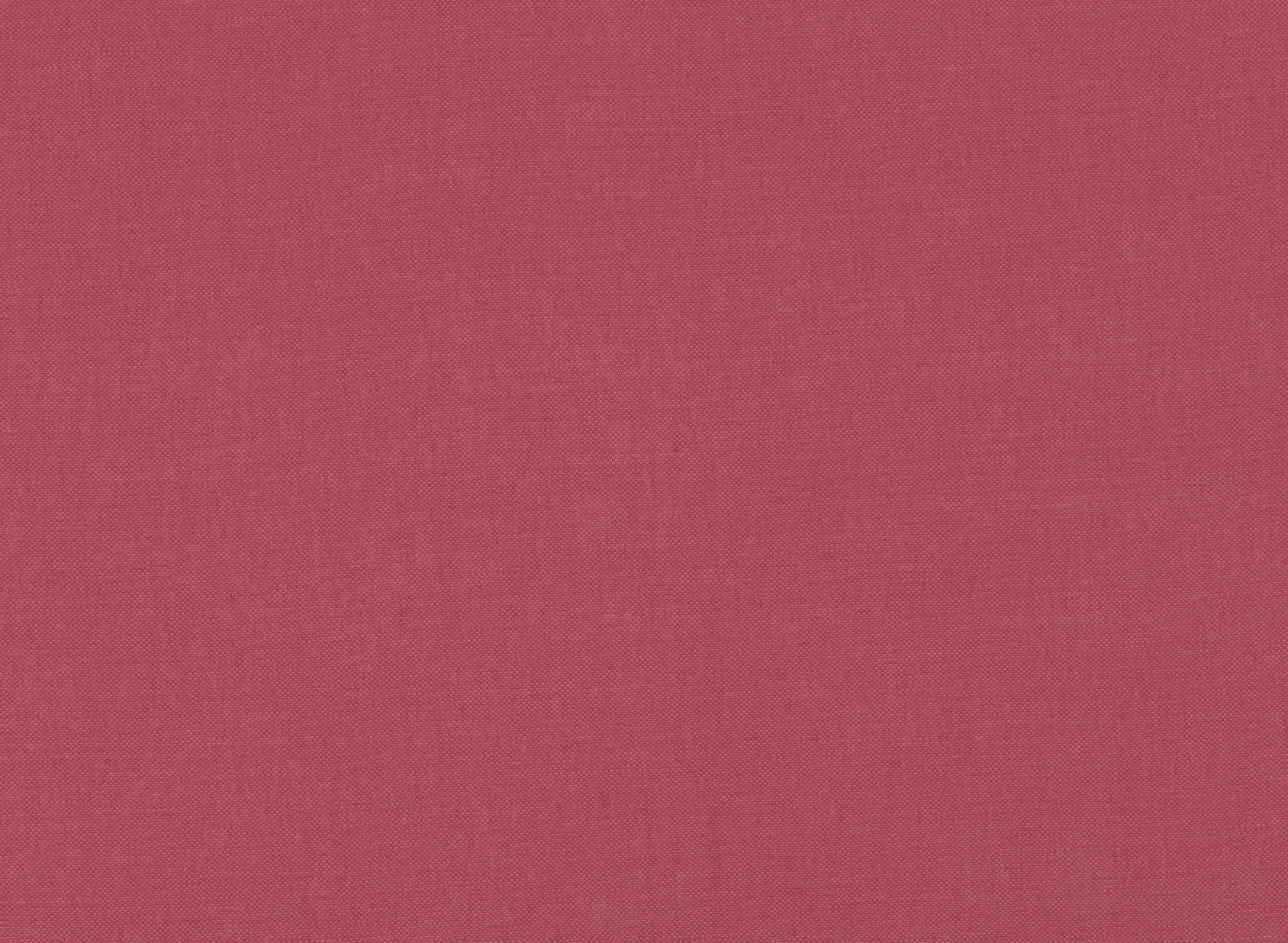 Linara Rubus 2494-423